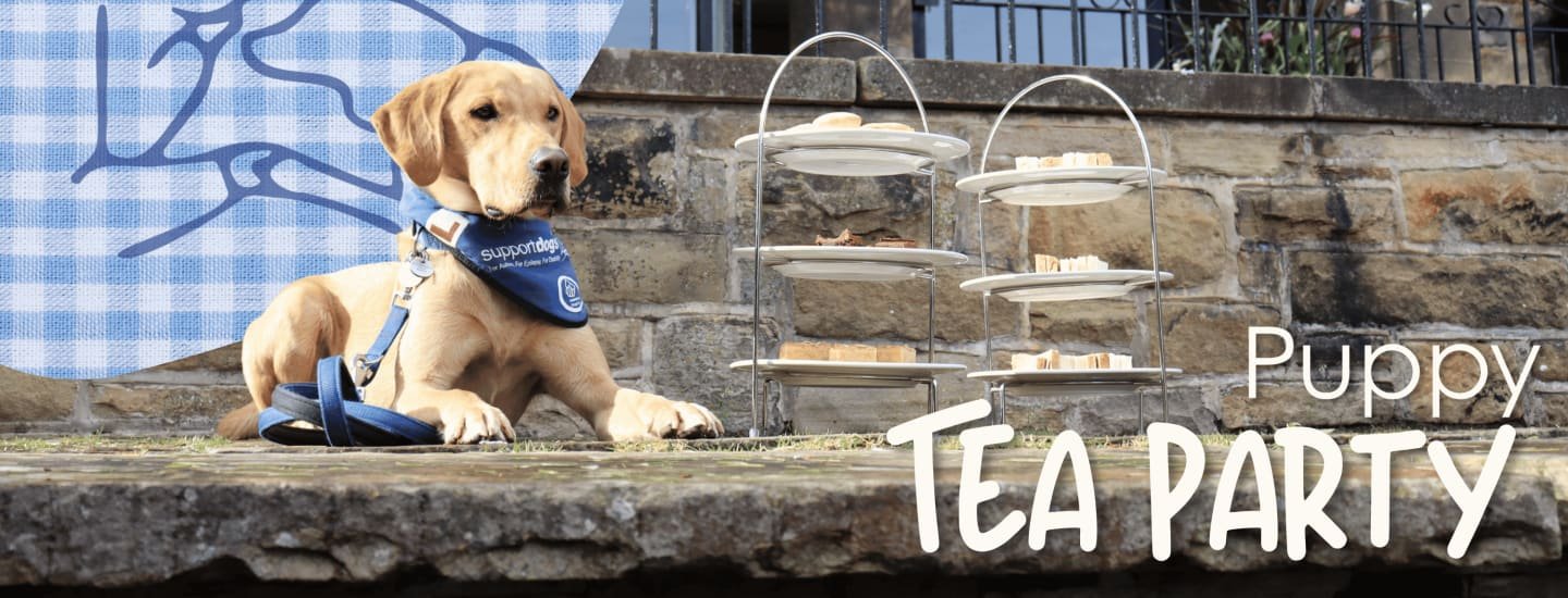 Puppy Tea Party