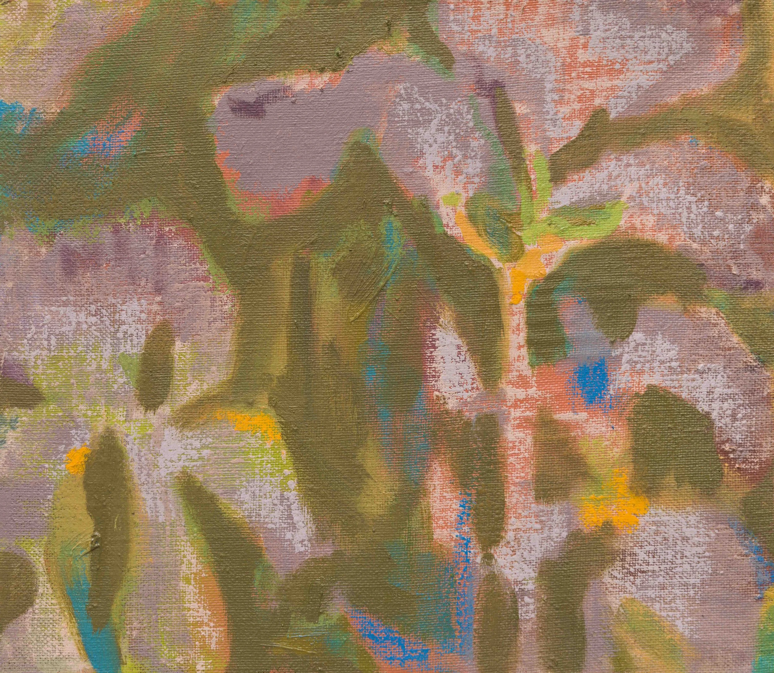Iris II