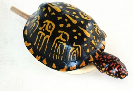 Box Turtle Call - $600