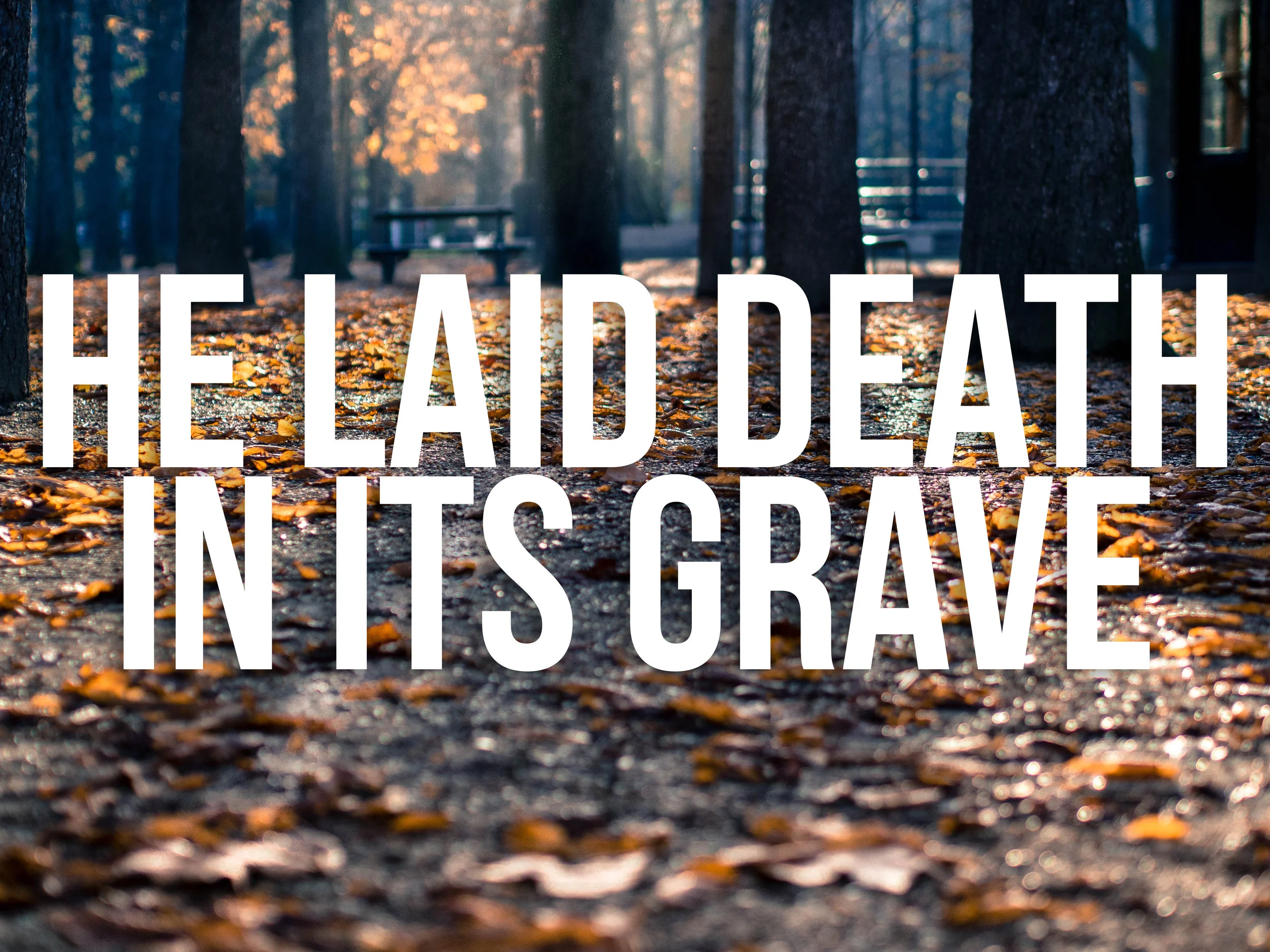 Death in His Grave (A Poem)