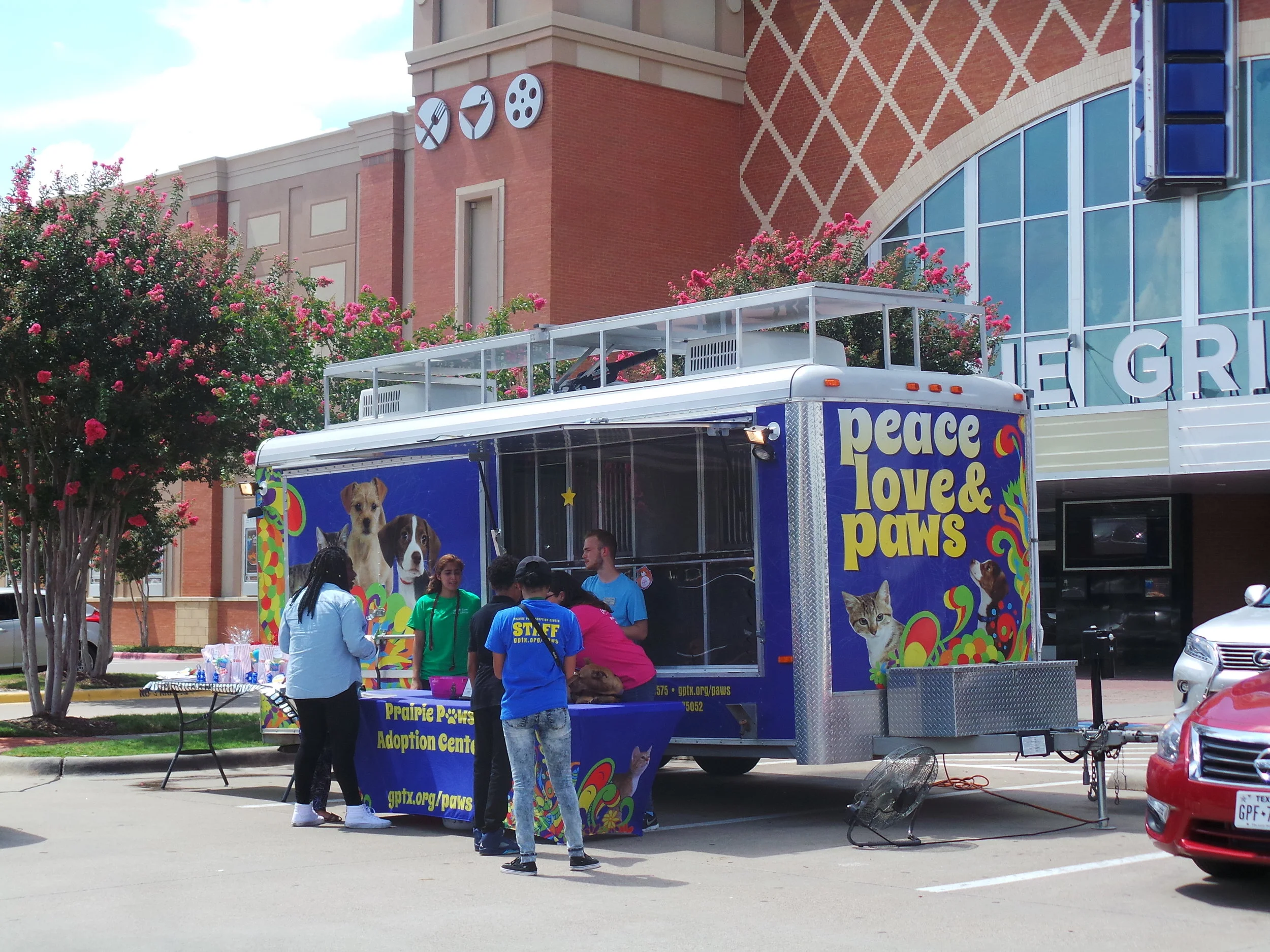 Prairie Paws2 - Arlington.JPG