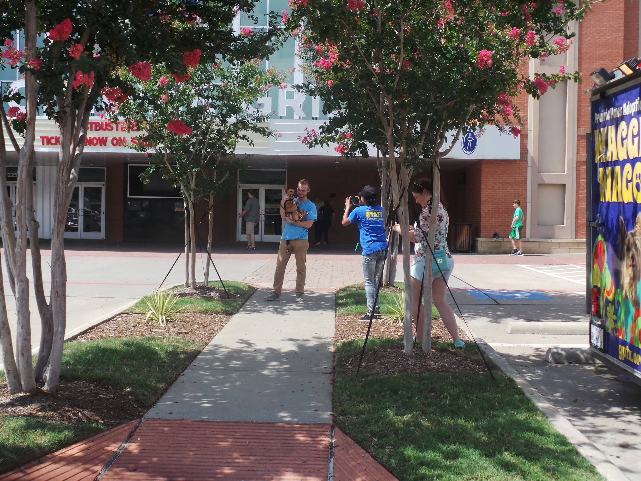 Prairie Paws4 - Arlington.JPG