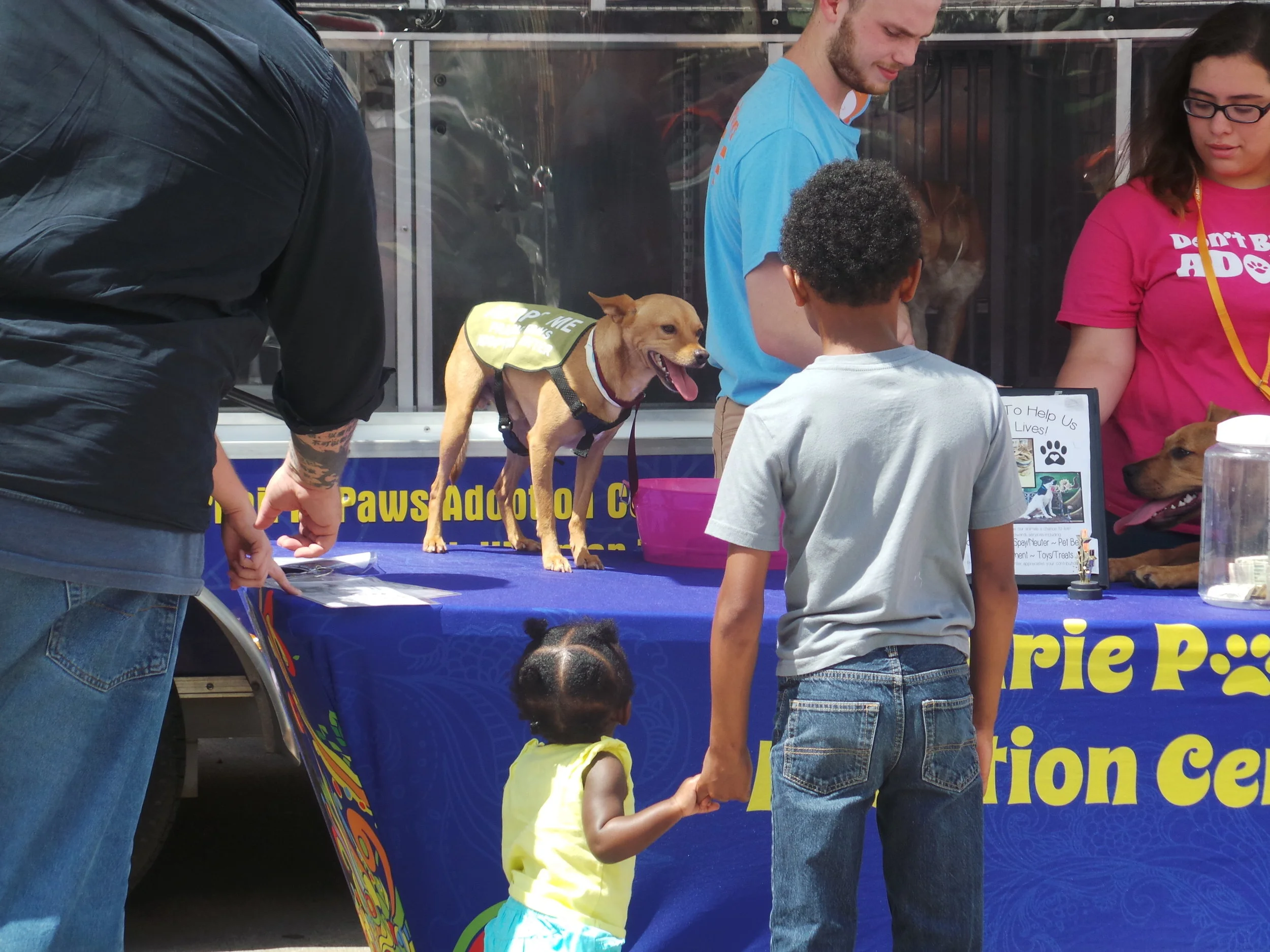 Prairie Paws9 - Arlington.JPG