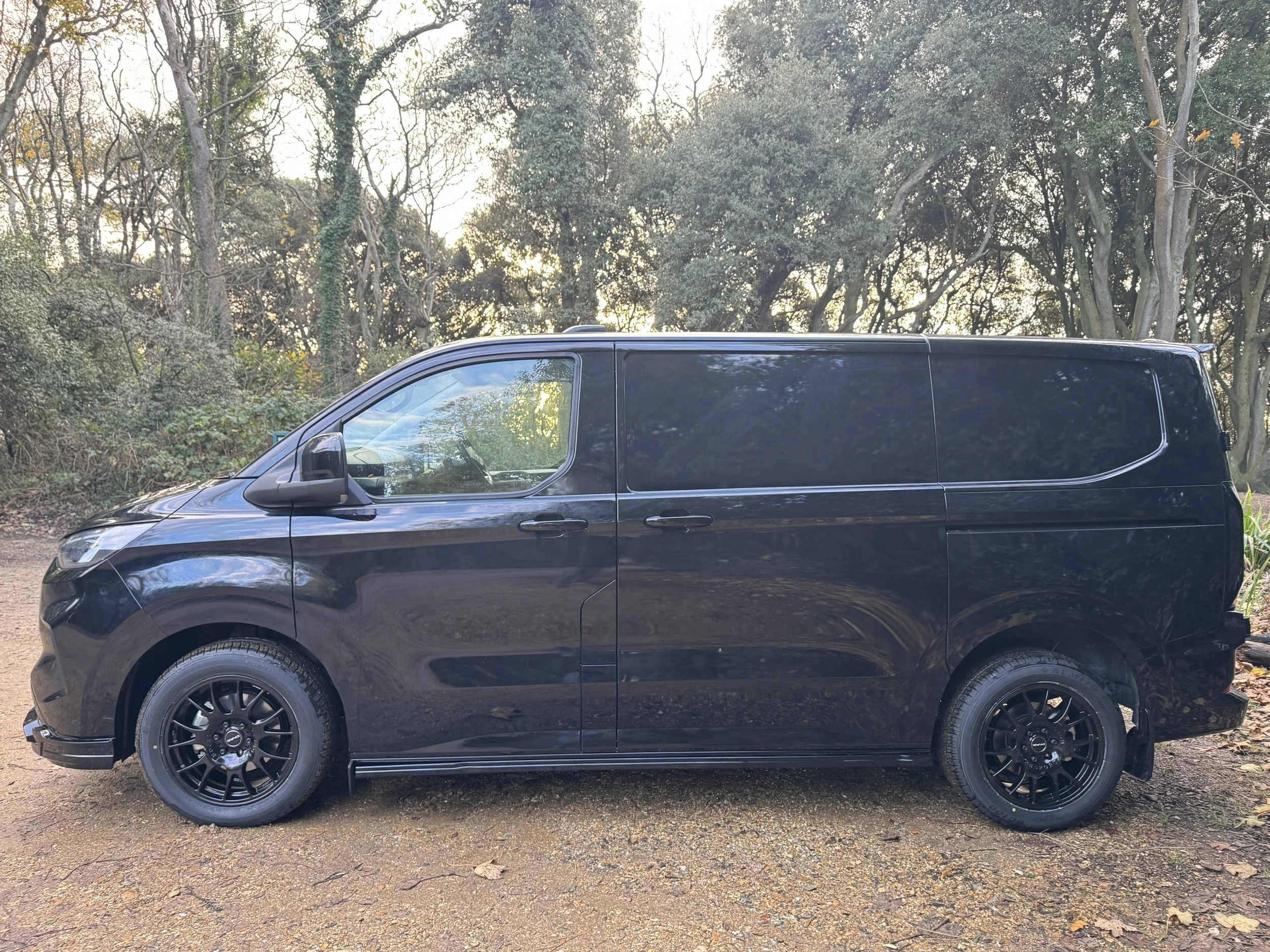 Black cargo van parked on a dirt surface with trees and foliage in the background.