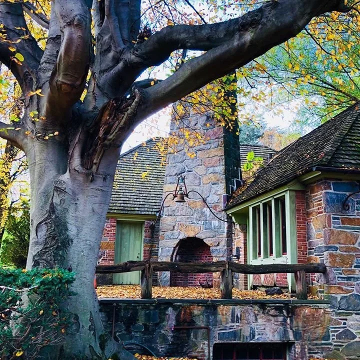 agora house.jpg