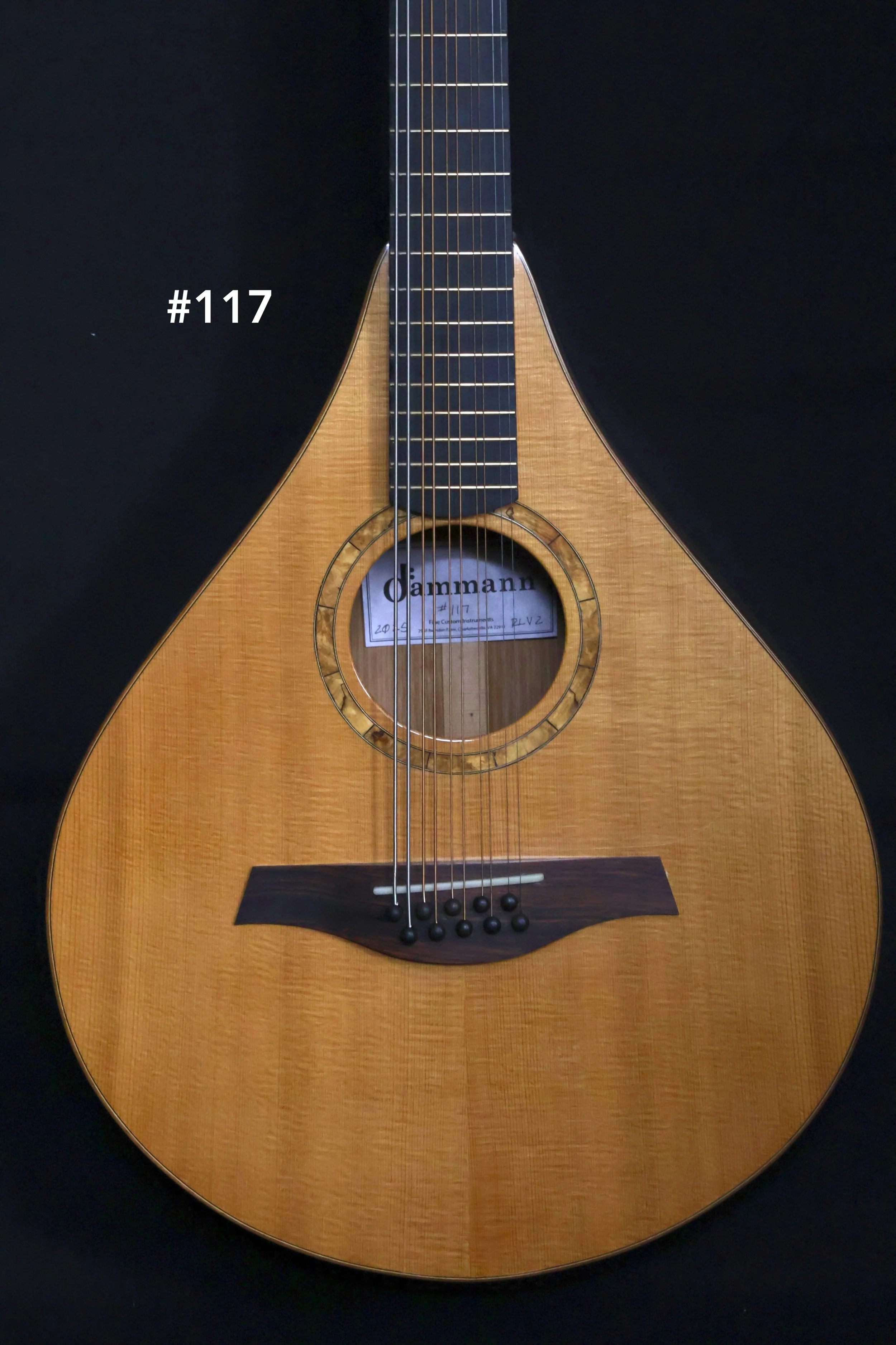 #117 Standard Mandocello
