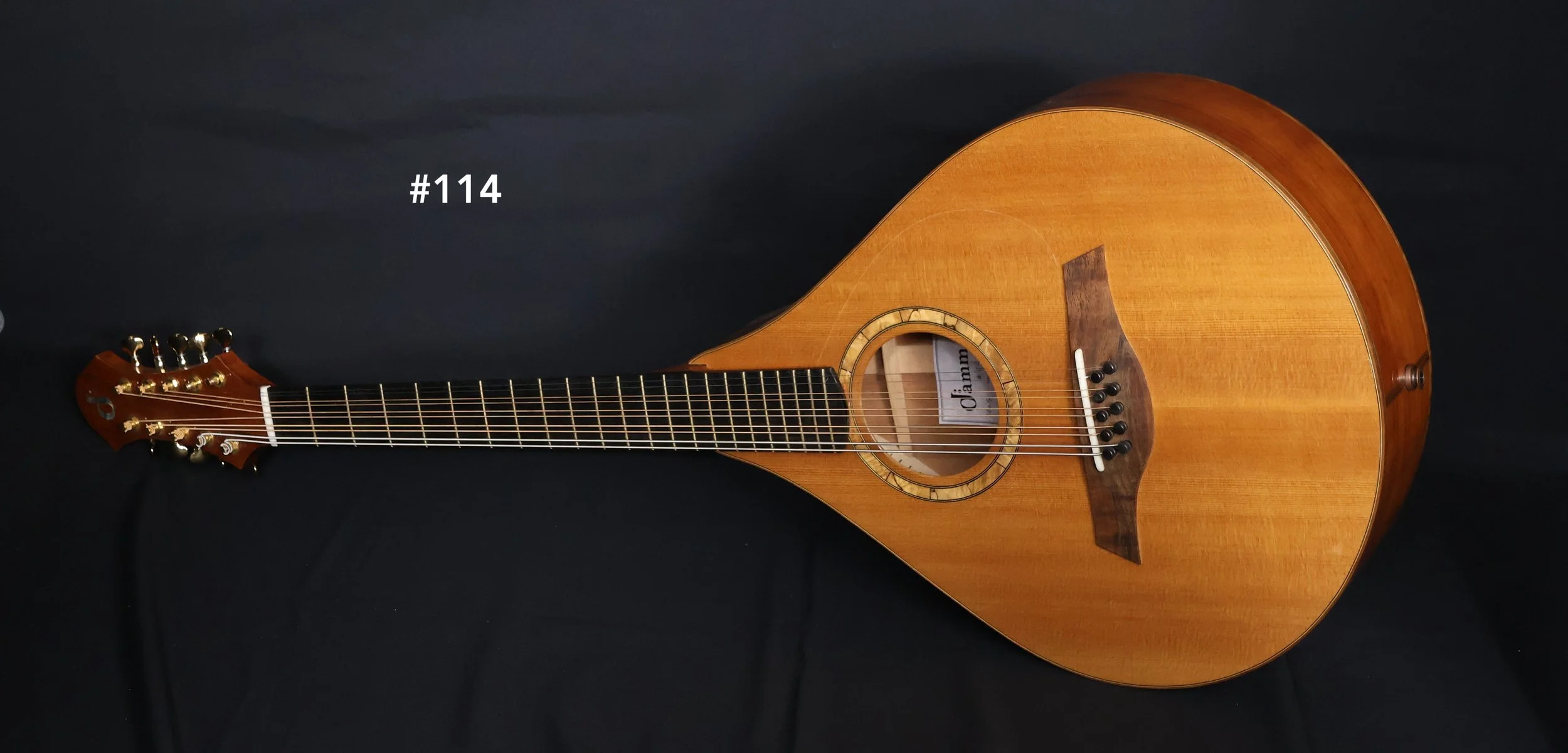Mandocello #114