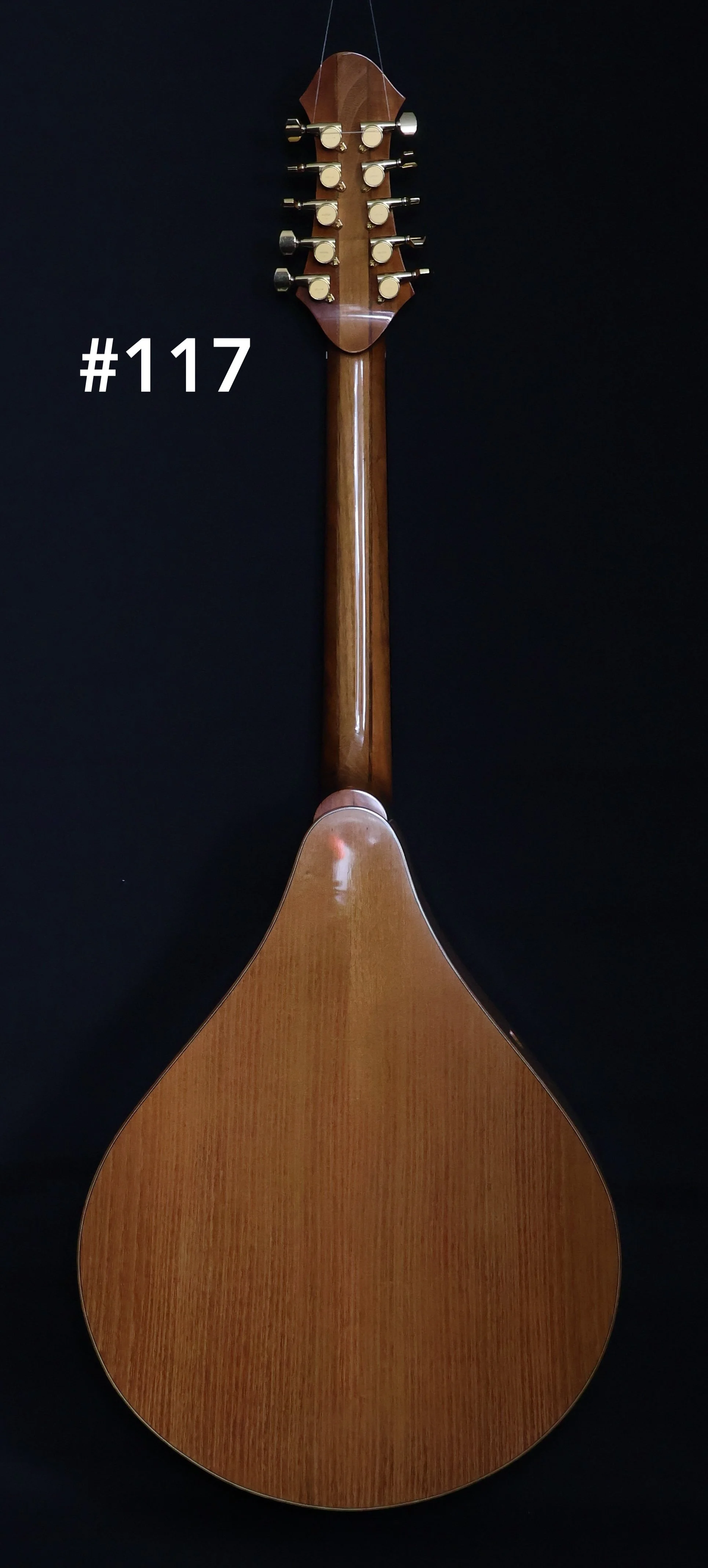 #117 Standard Mandocello