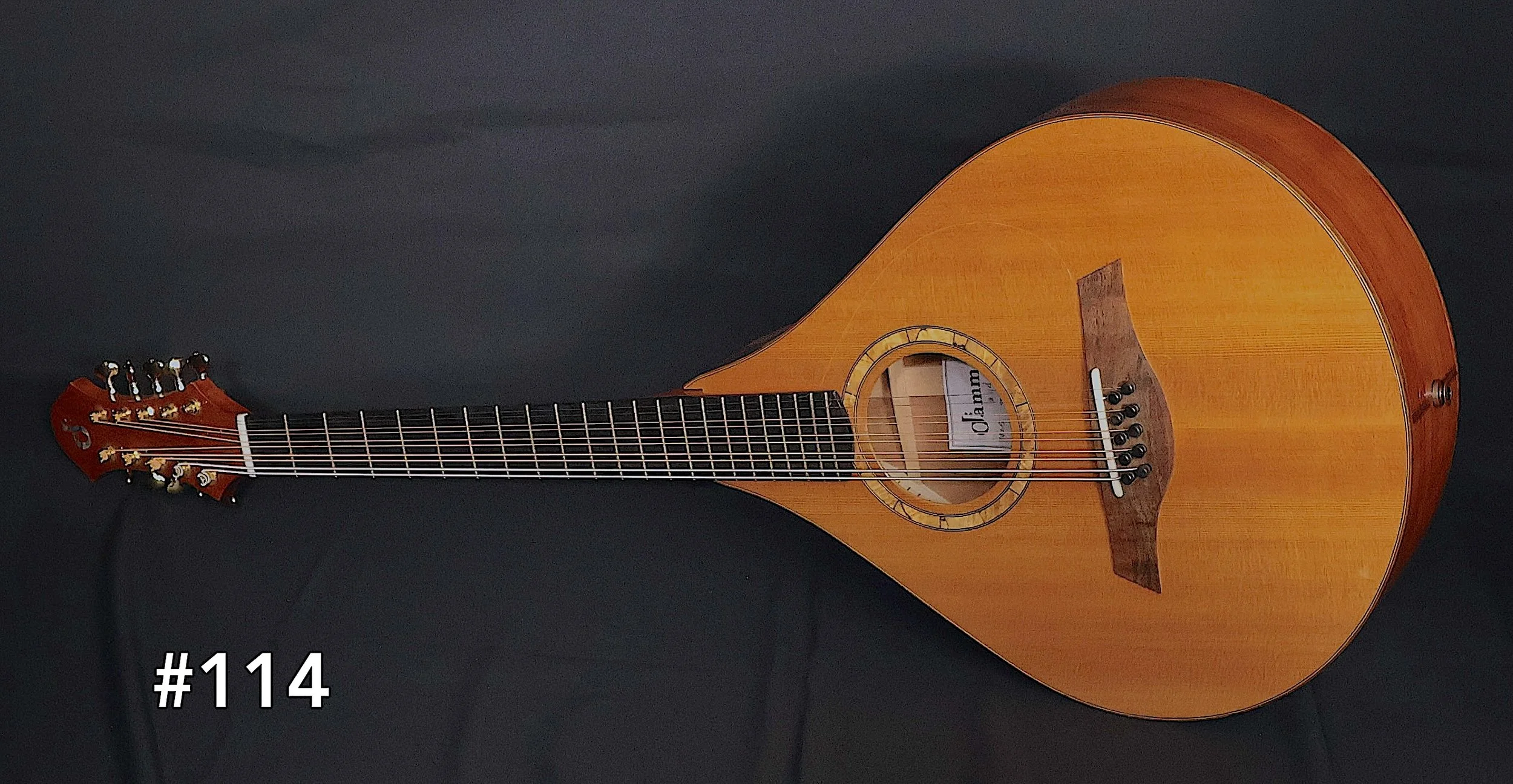 Mandocello #114