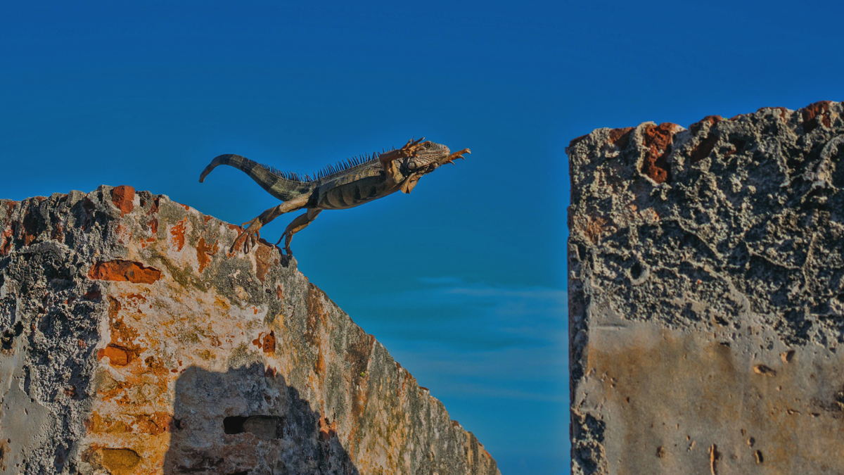 LeapIntoAction-MiniRetireP2.png