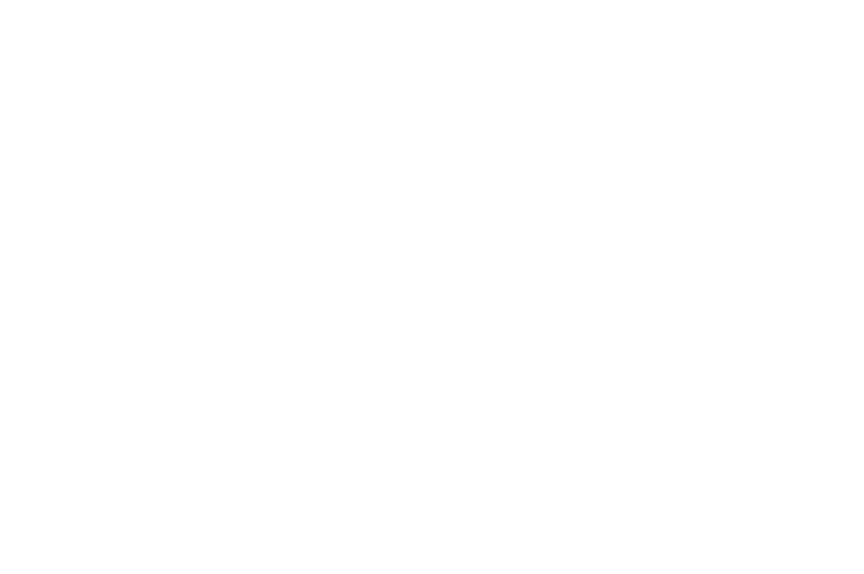WINNER - BEST FILM - OFFICIAL LATINO FILM FESTIVAL - 2018.png