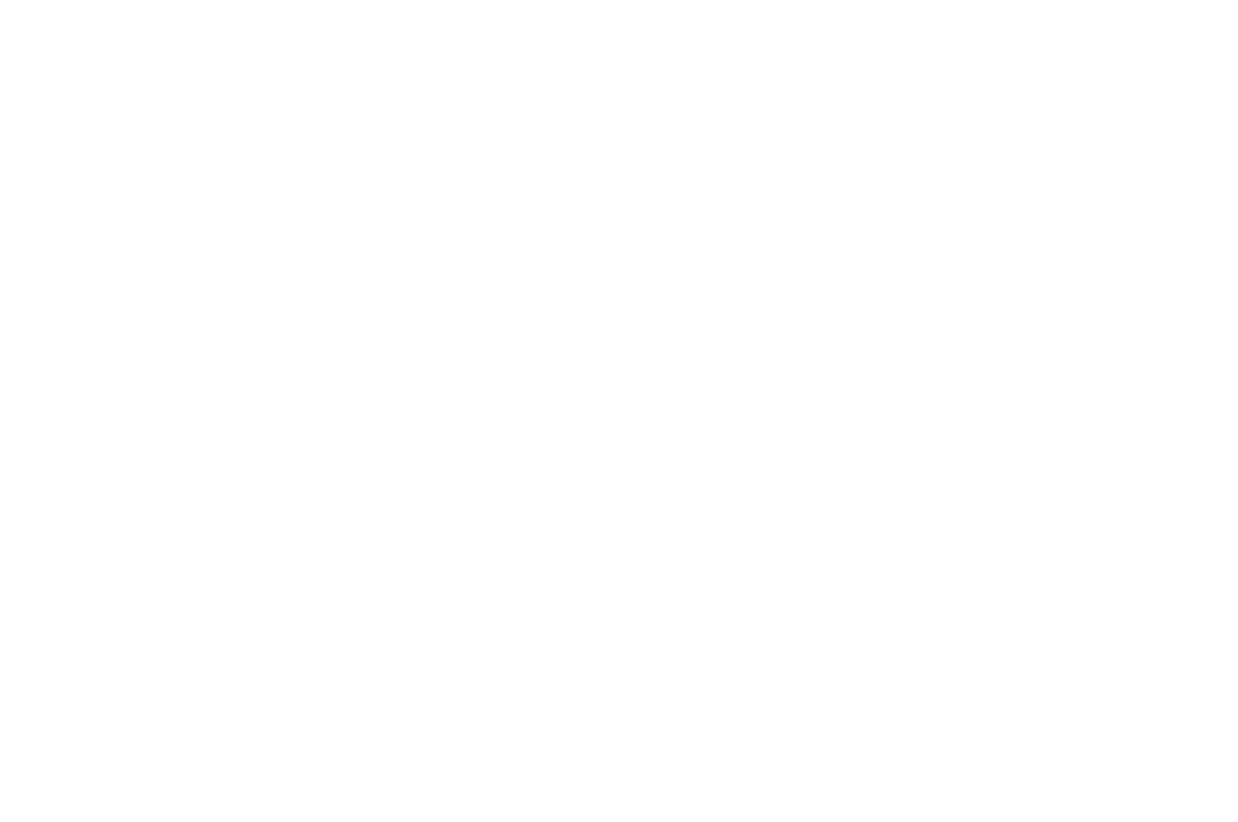 Newark International Film Festival - 2018.png