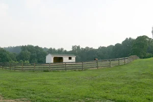 turnout5.jpg