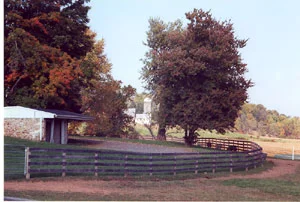 fields2.jpg
