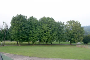 scenery2.jpg