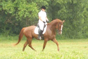 windermere47.jpg