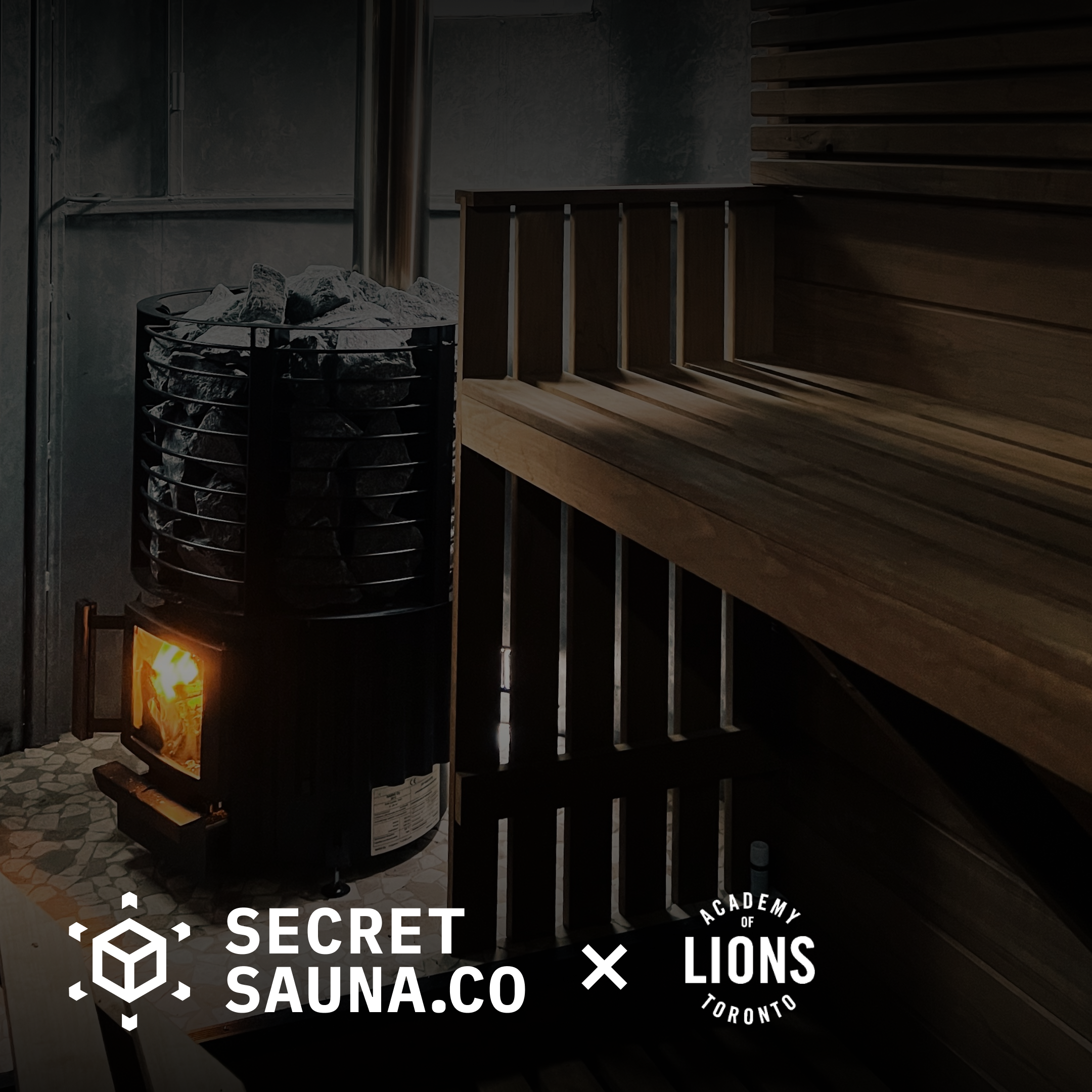 Academy of Lions.png