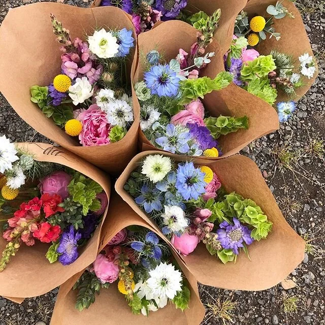 Today it&rsquo;s drizzly and gray and I&rsquo;m gifting myself some time inside to work on my knitting. 🤗Here&rsquo;s a picture of some fun bouquets that went out last week when it was hot and sunny. Oregon June just doesn&rsquo;t know what it wants