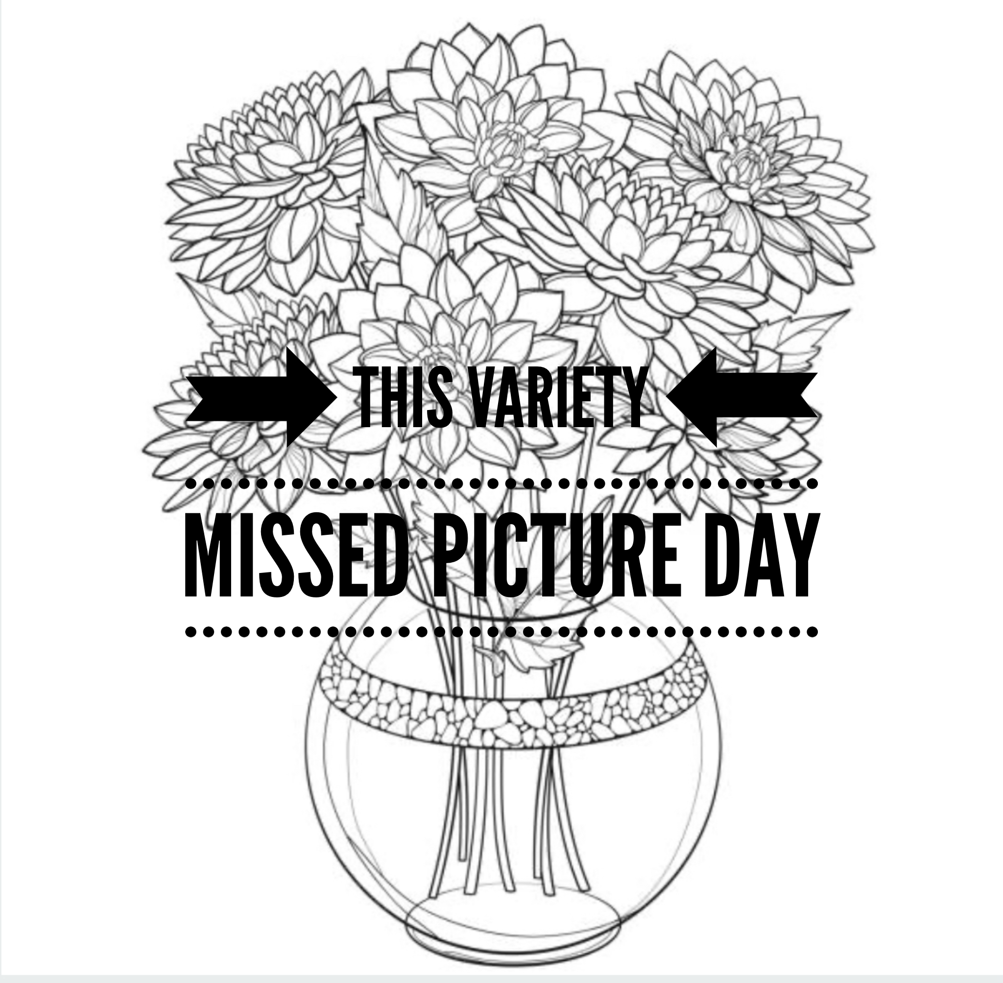 IMG_9443.PNG