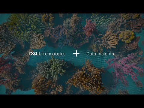 Dell Technologies + Data Insights