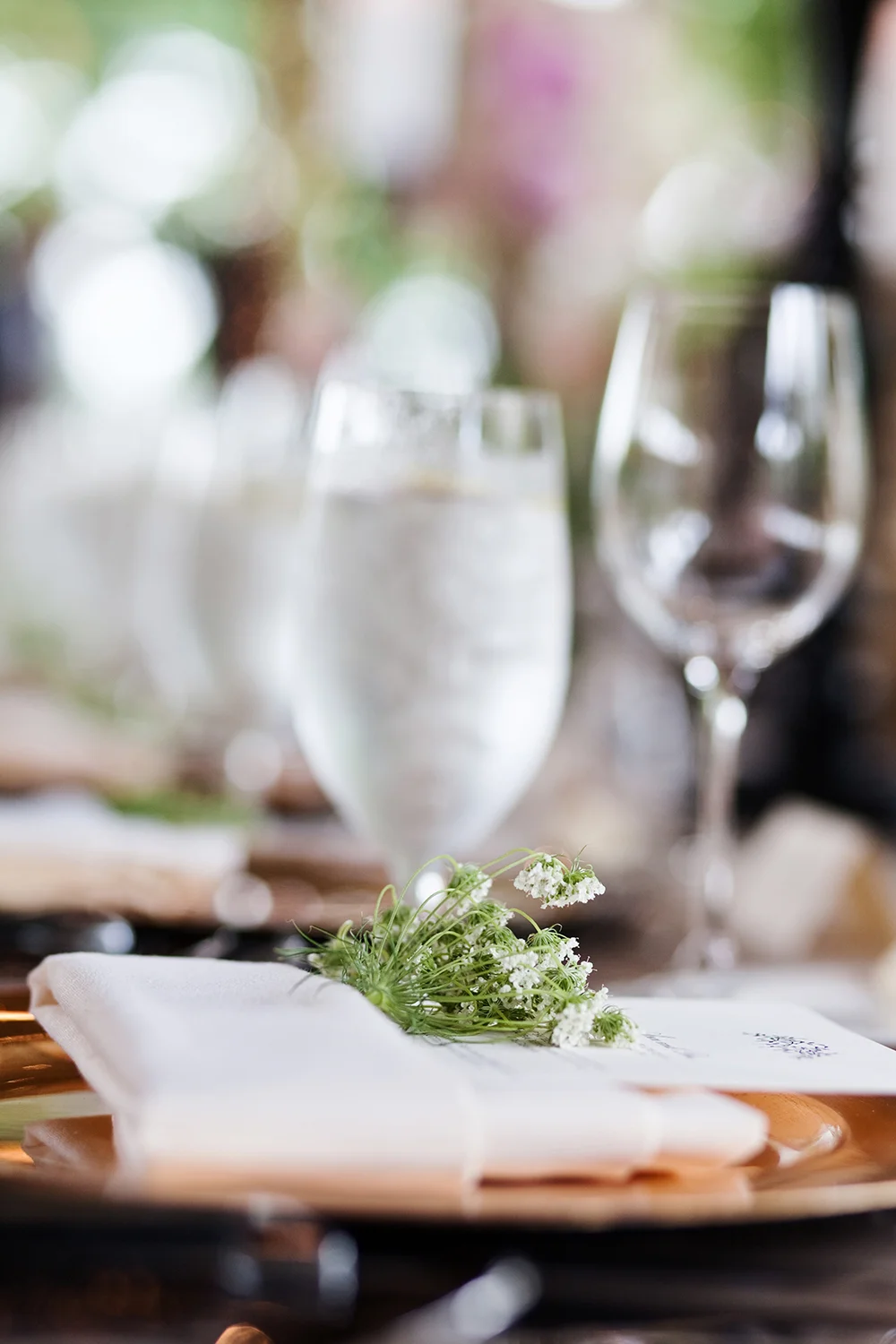 Angela_Stott_Asheville_Wedding_08.JPG
