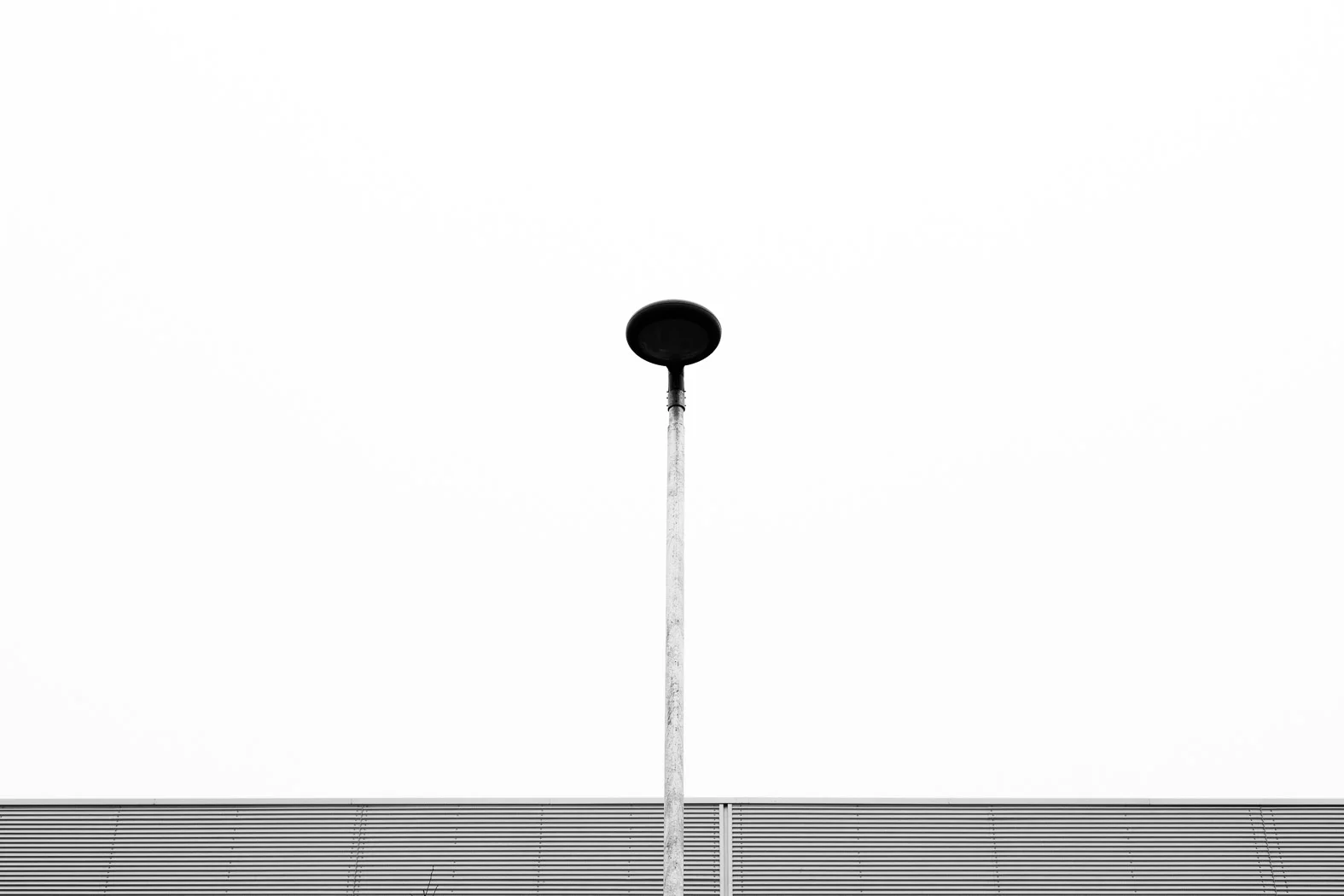Photography: David Wilman