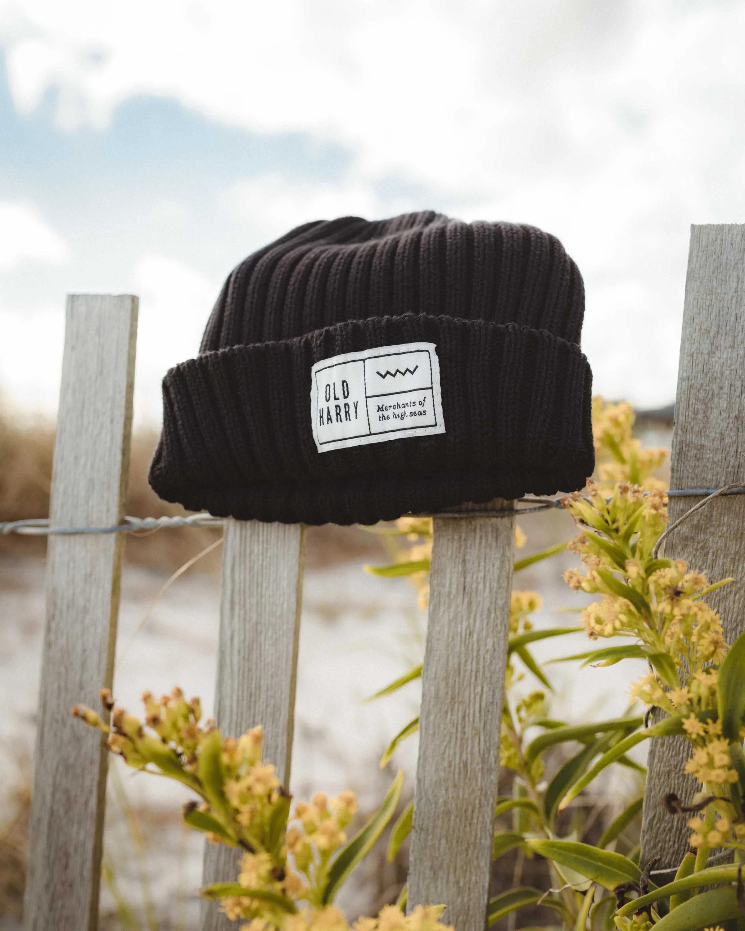 Old Harry Hat.jpg