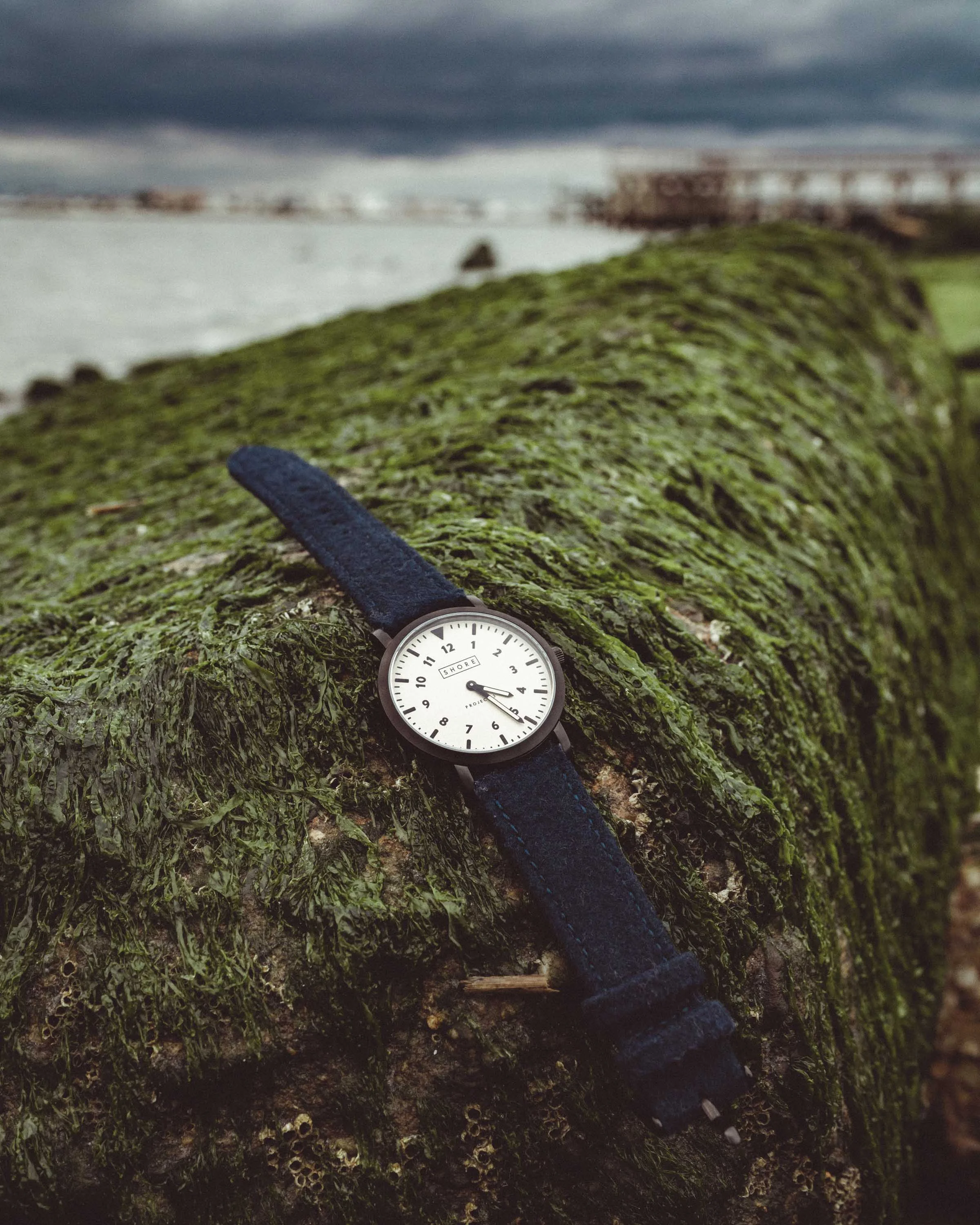Shore Projects x Chelsea-3.jpg