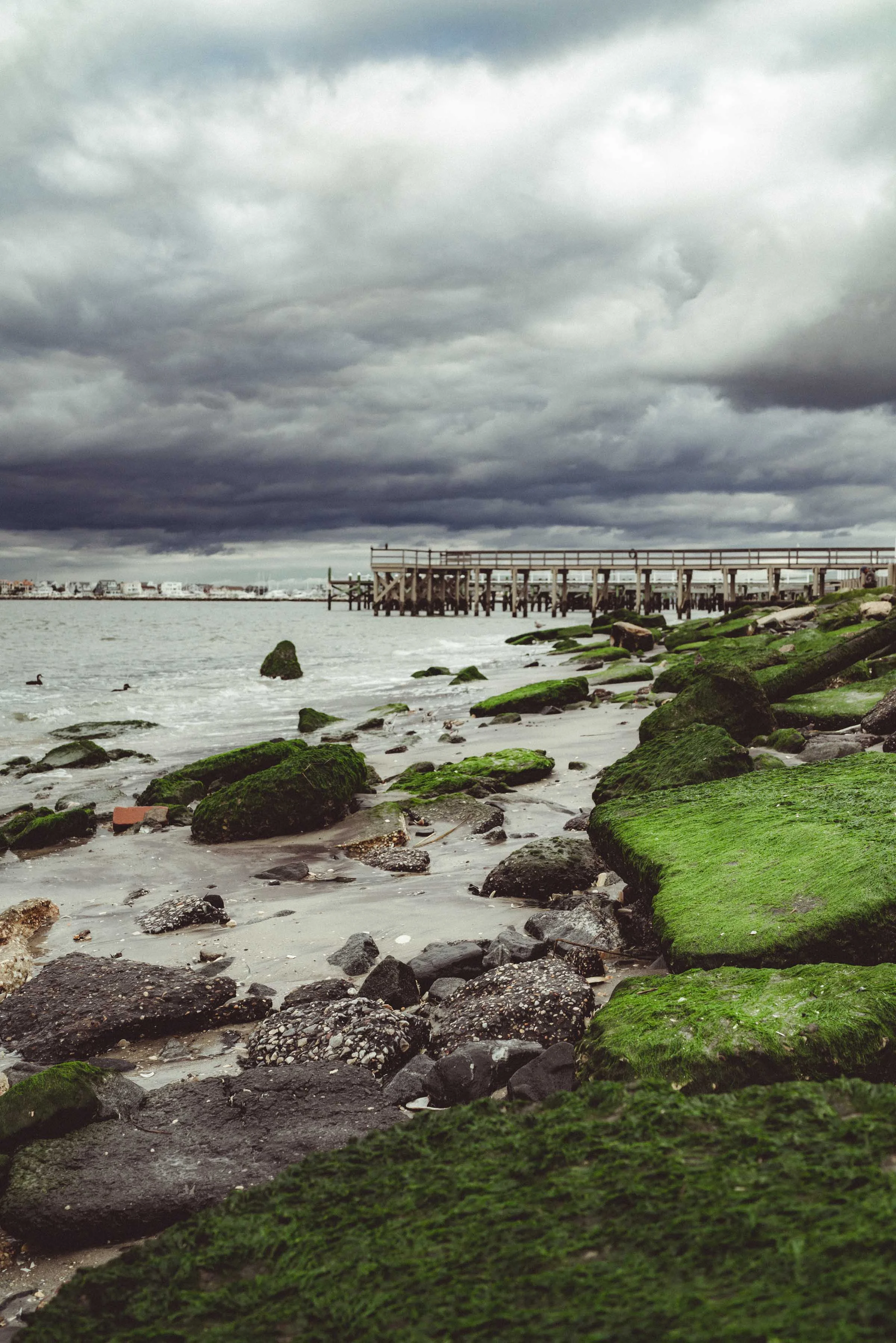 Shore Projects x Chelsea-2.jpg