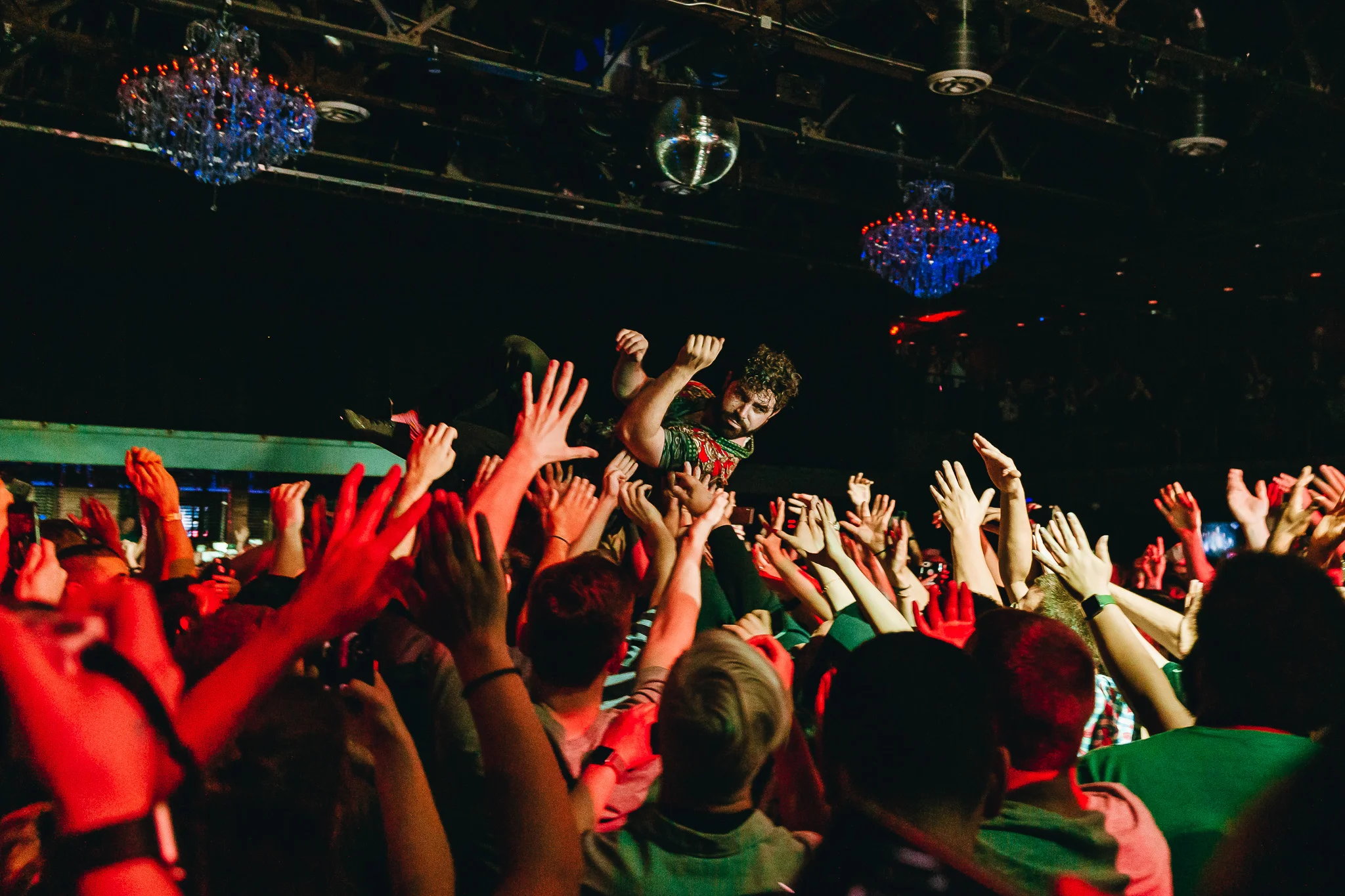 FOALS16.jpg
