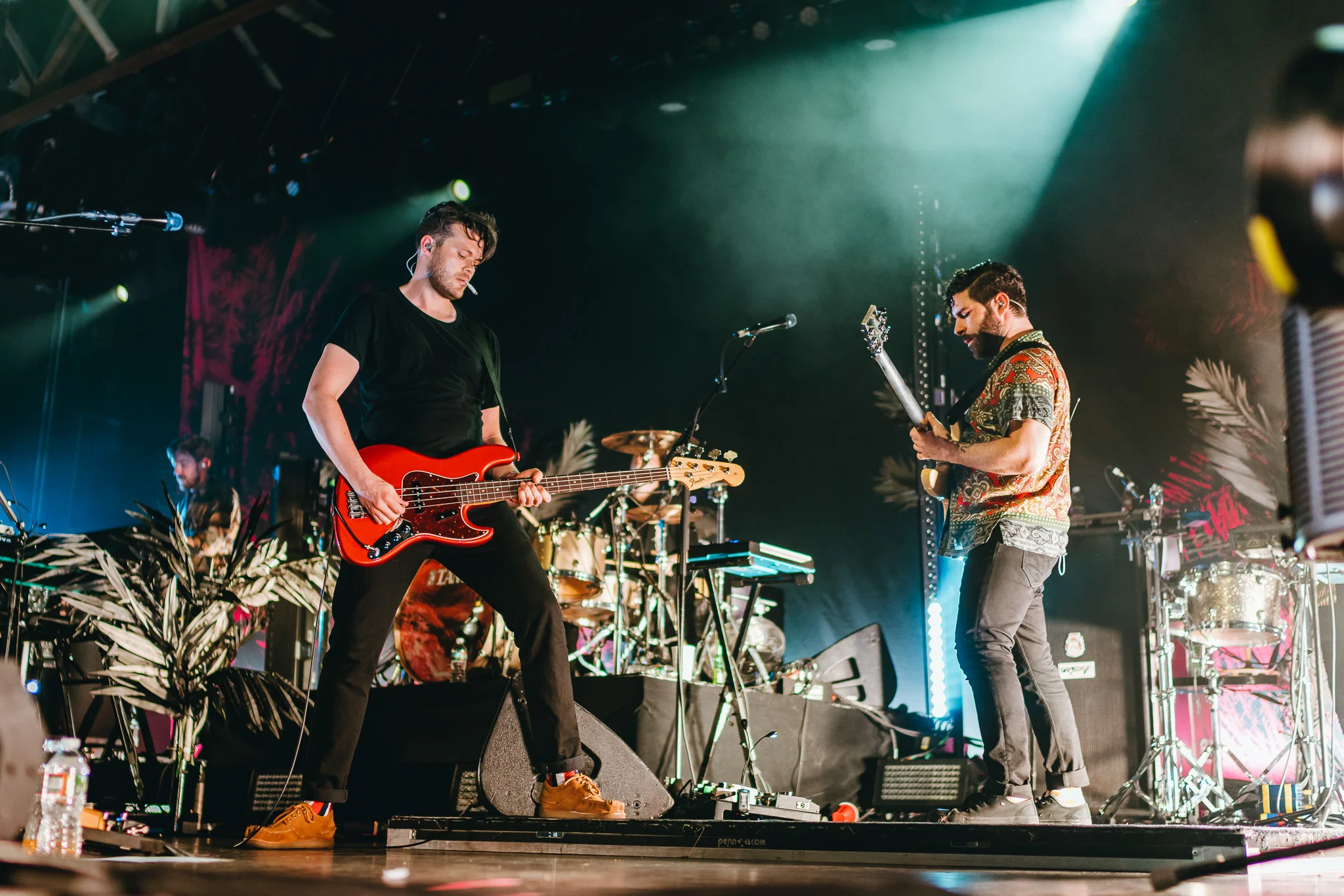 FOALS2.jpg