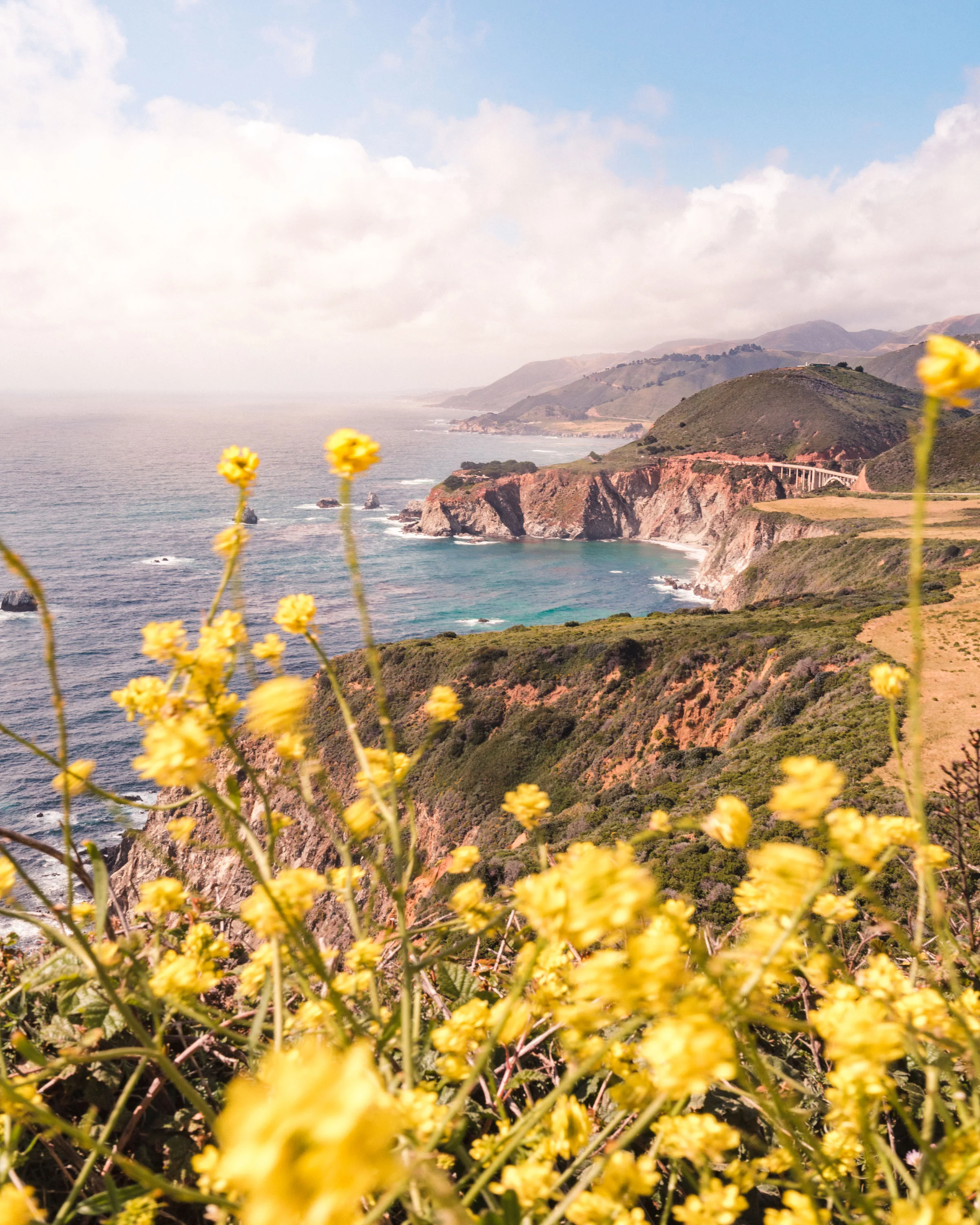 flower cliff fix.jpg