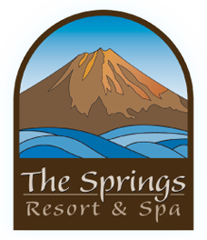 The springs resort and spa logo.png