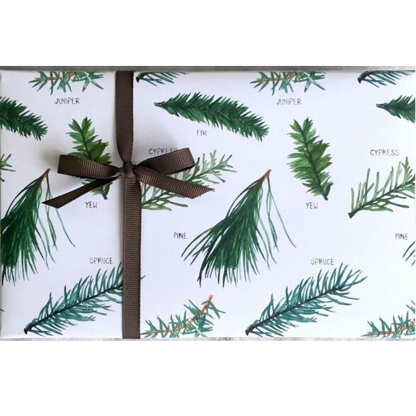 FavoriteStory: Christmas Evergreen Wrapping Paper