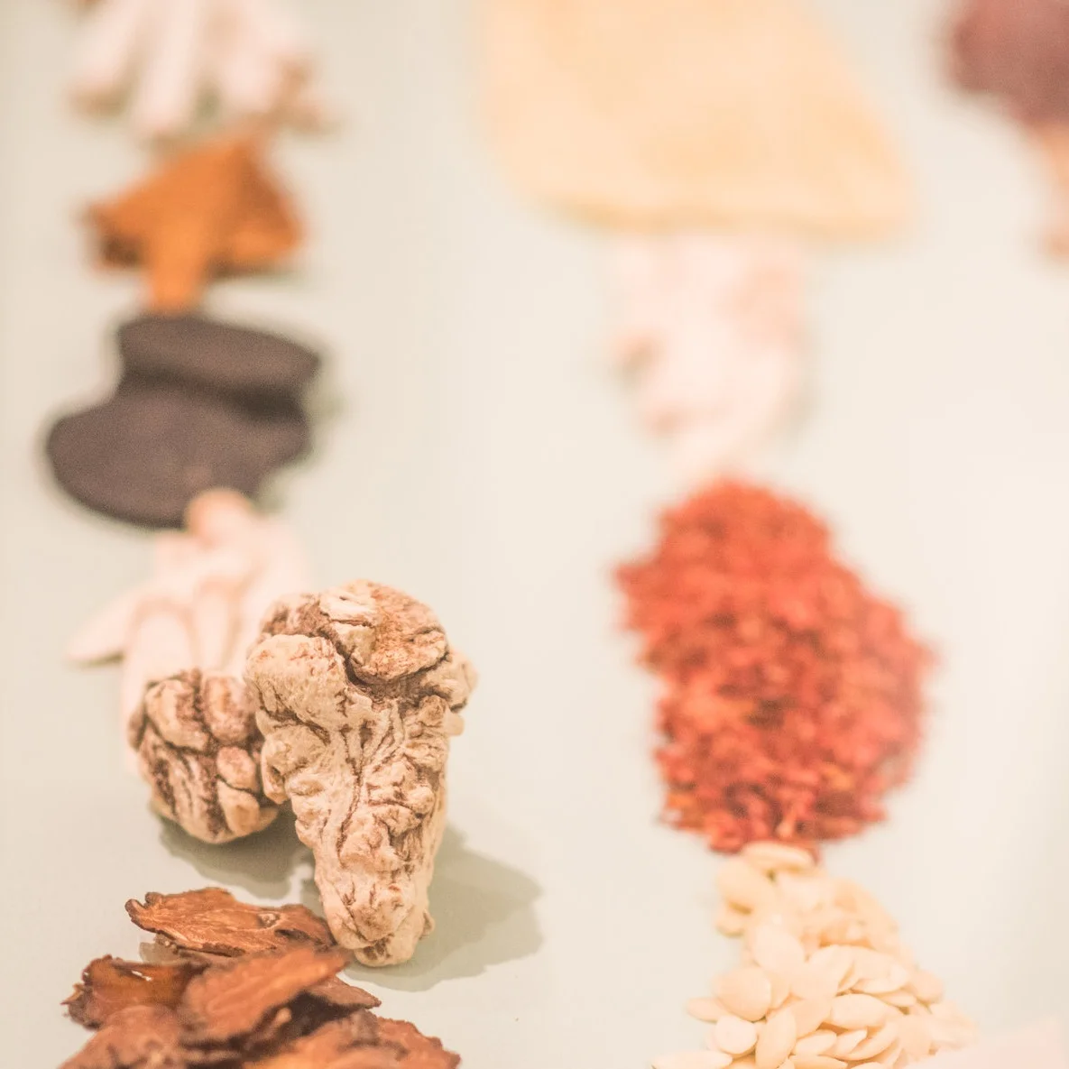 Chinese Herbal Medicine