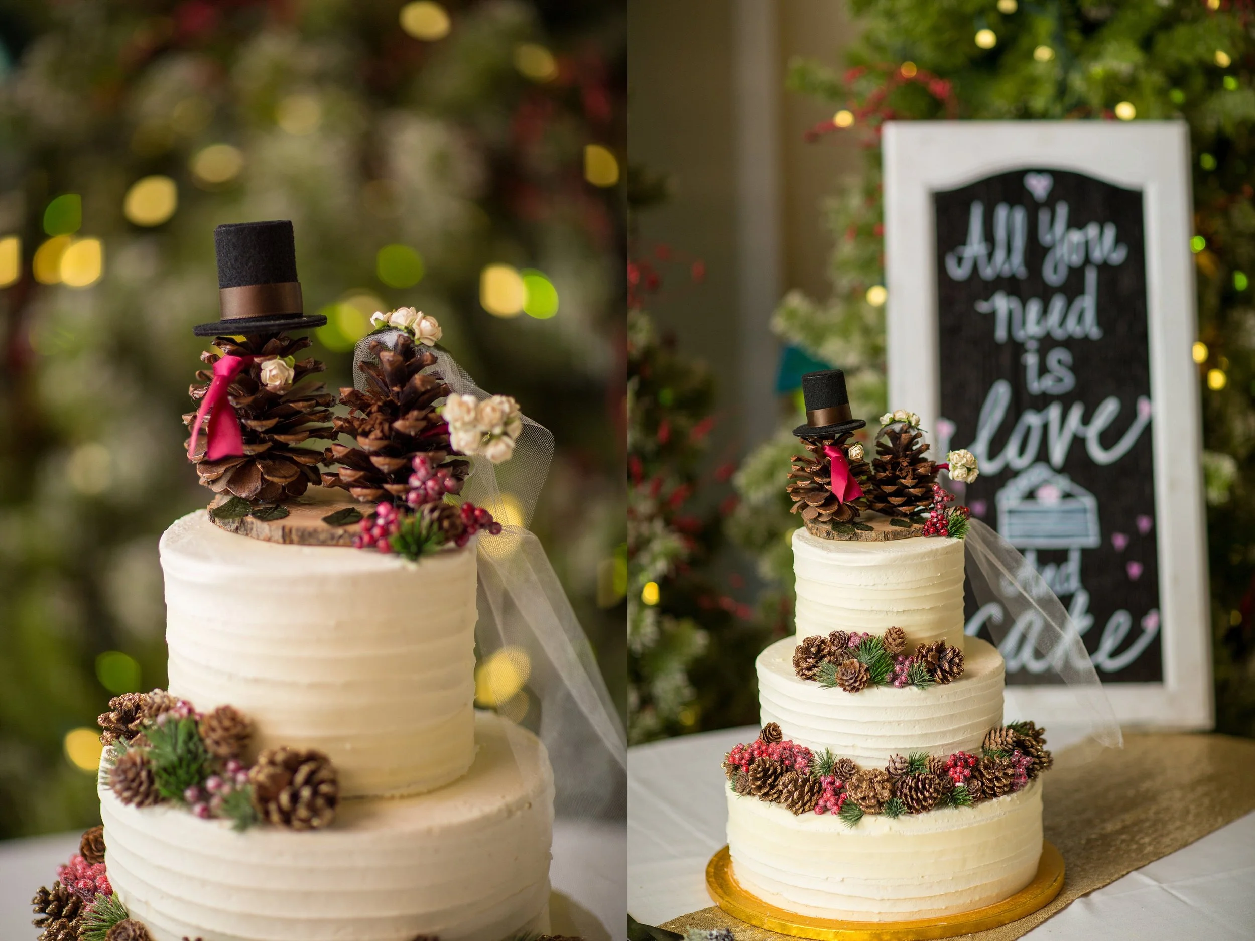 Green_Villa_Barn_Wedding066.jpg