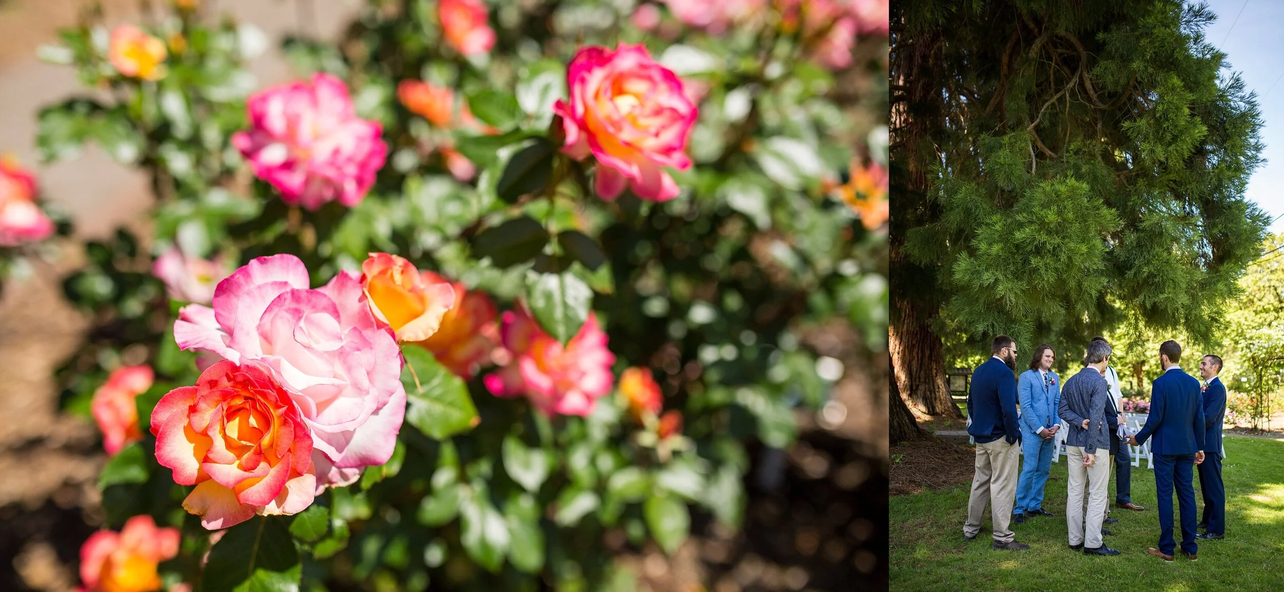 Avery Rose Garden Wedding