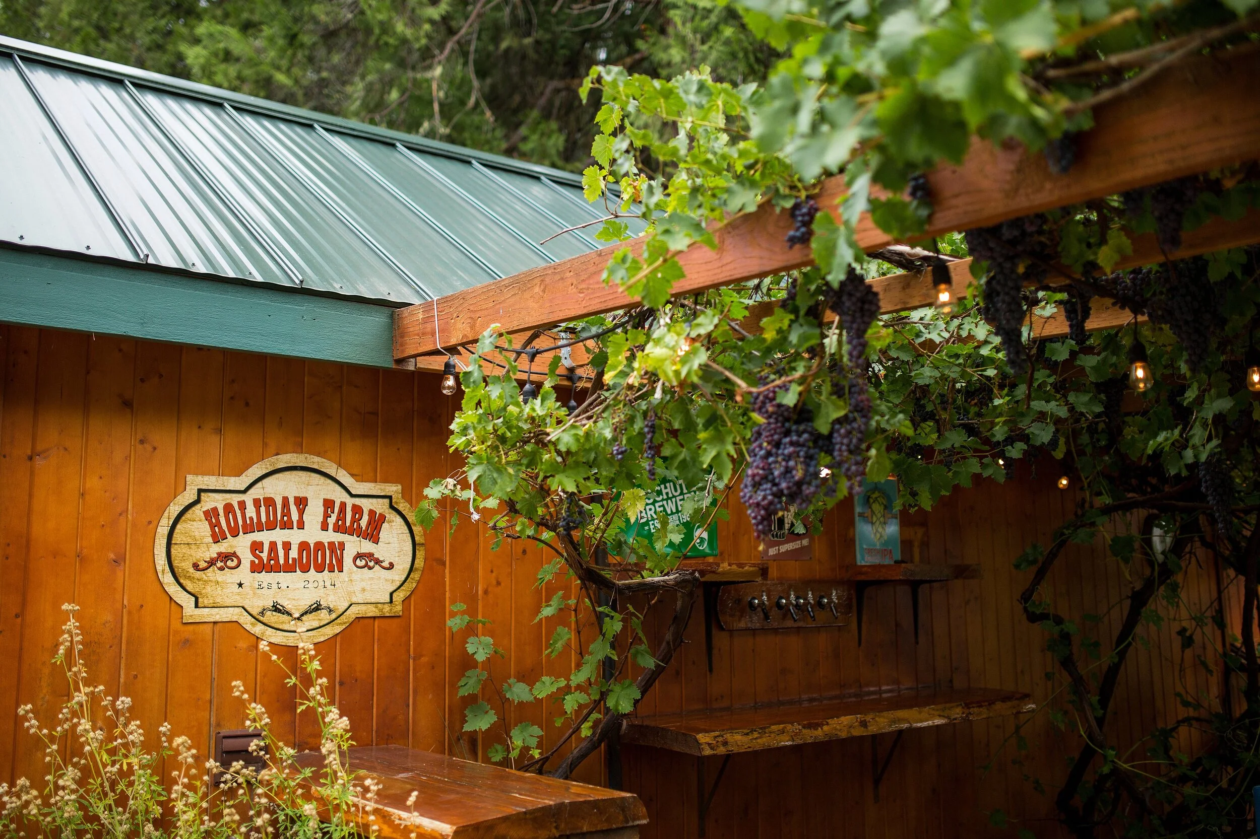 Eugene Wedding Venues Holiday Farm Resort