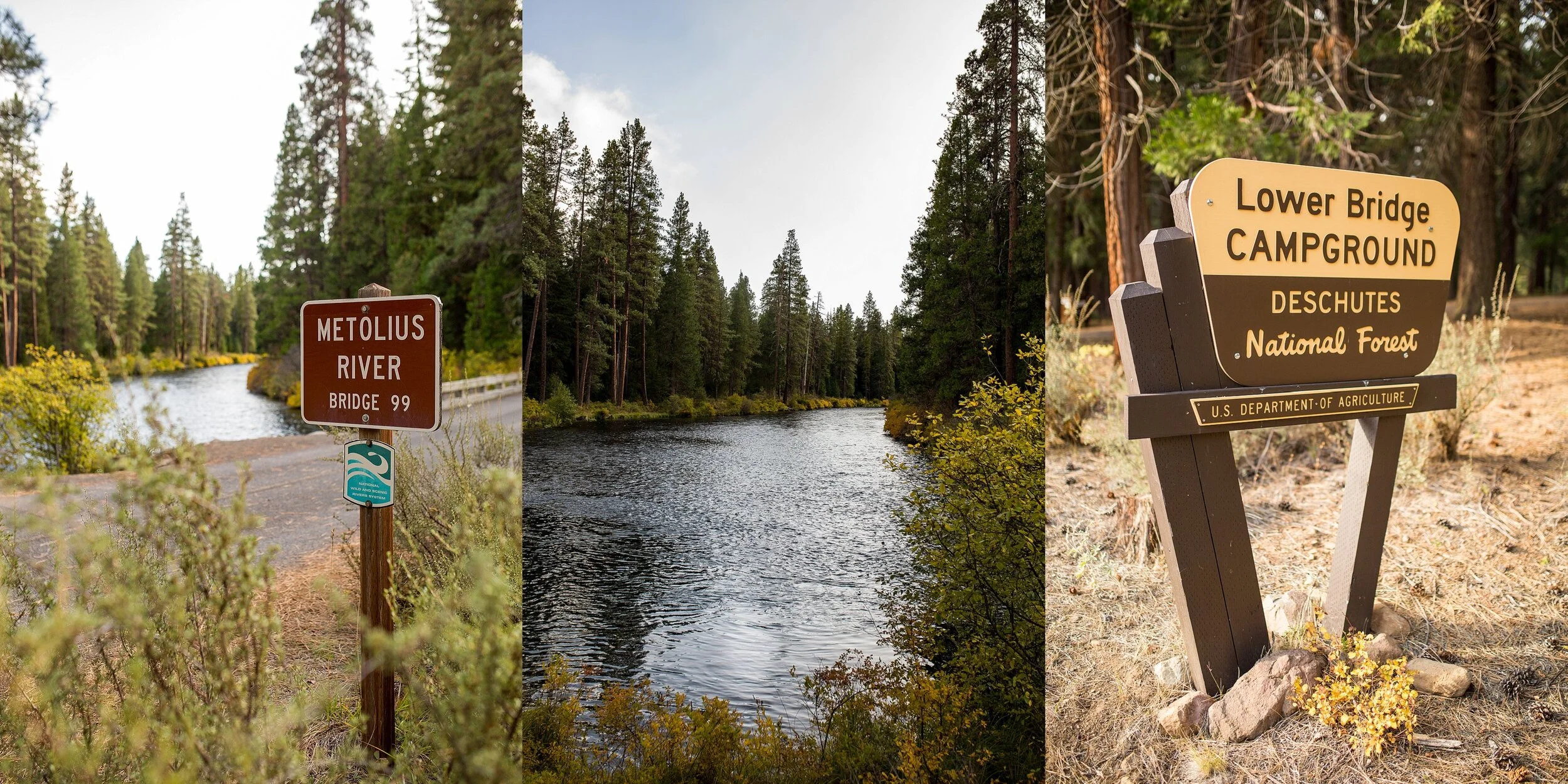 Metolius River Elopement Photographer