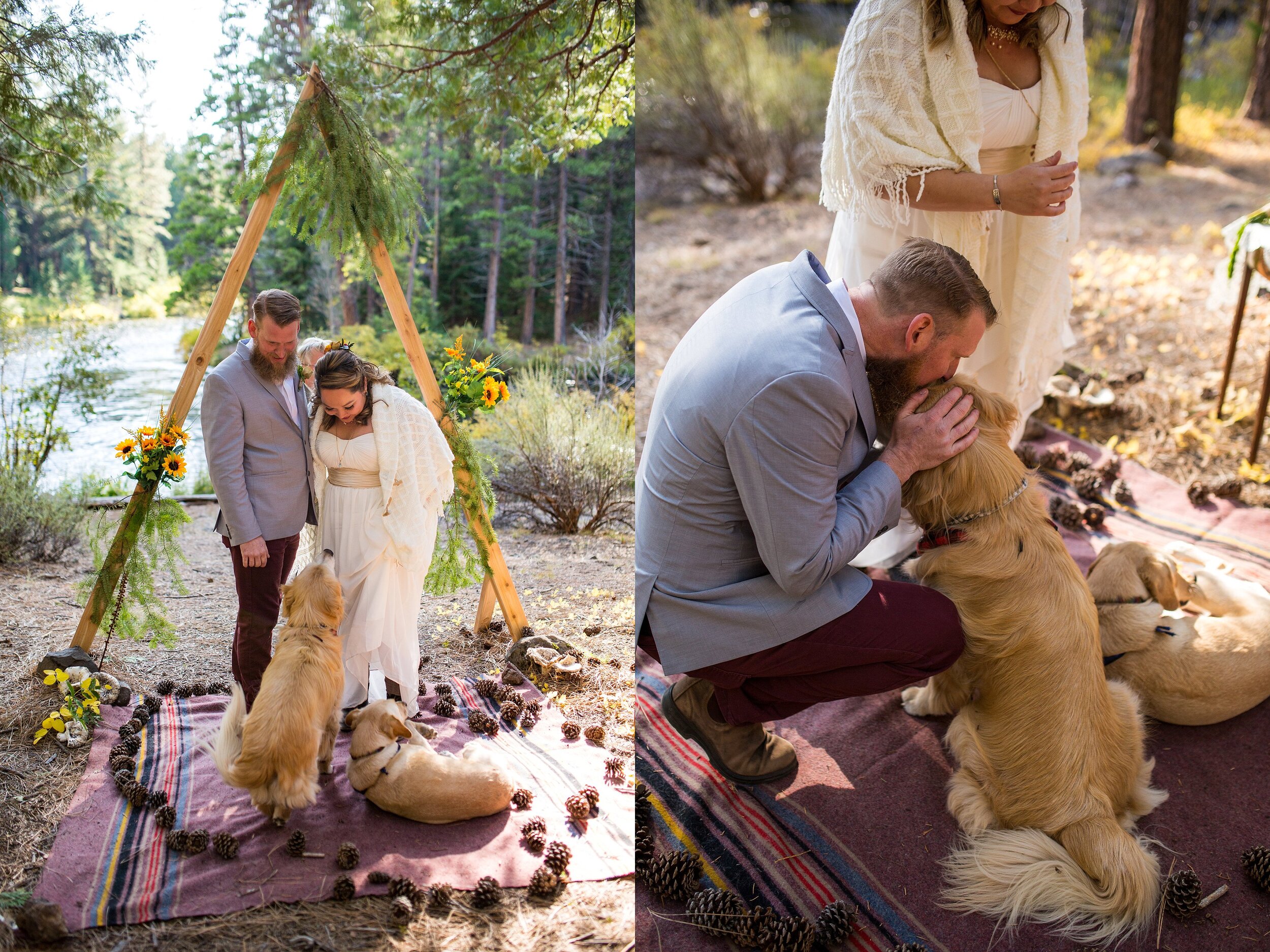Dogs in Wedding Photos Oregon Photographer