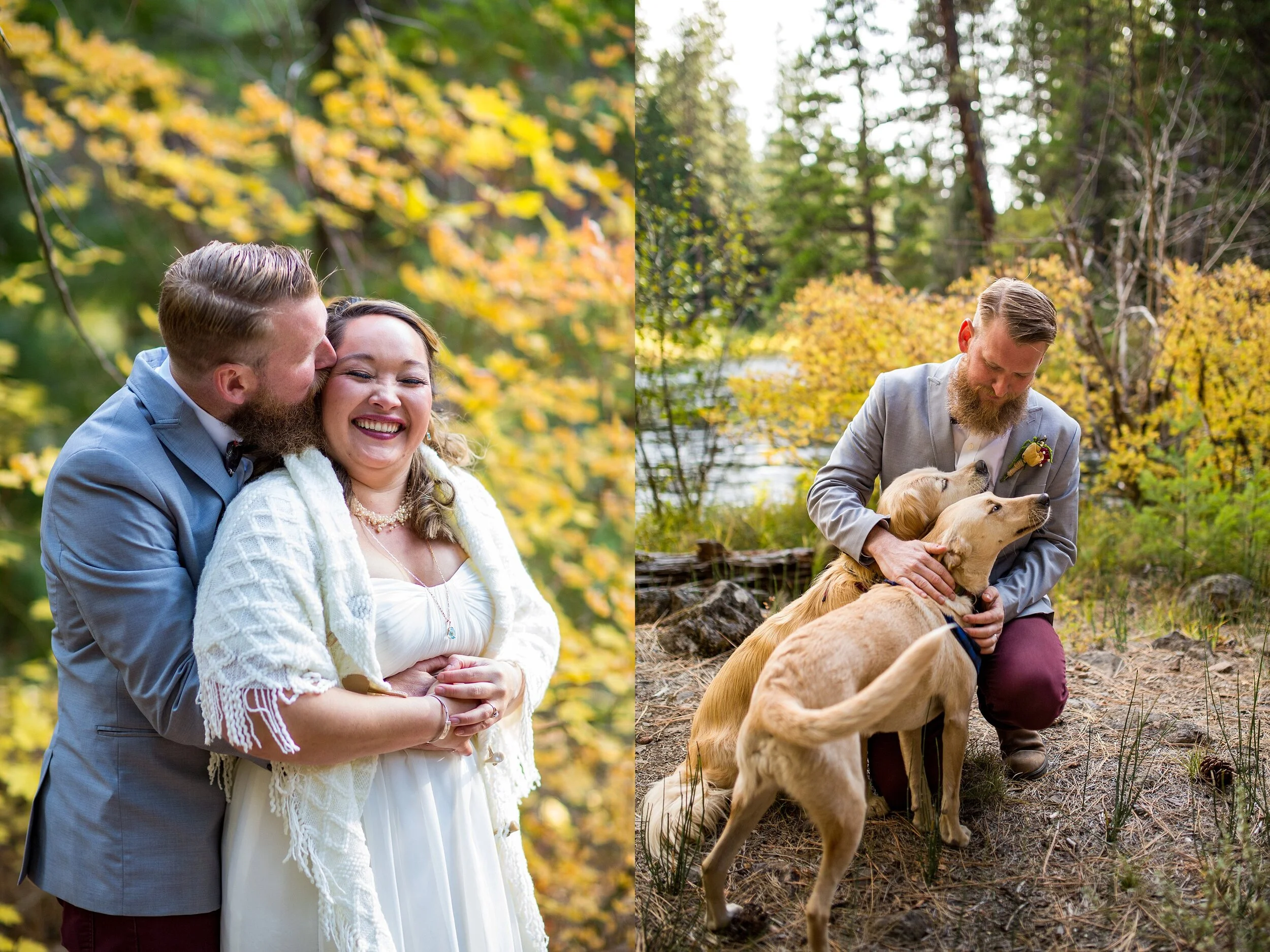 Dogs at weddings Salem Oregon