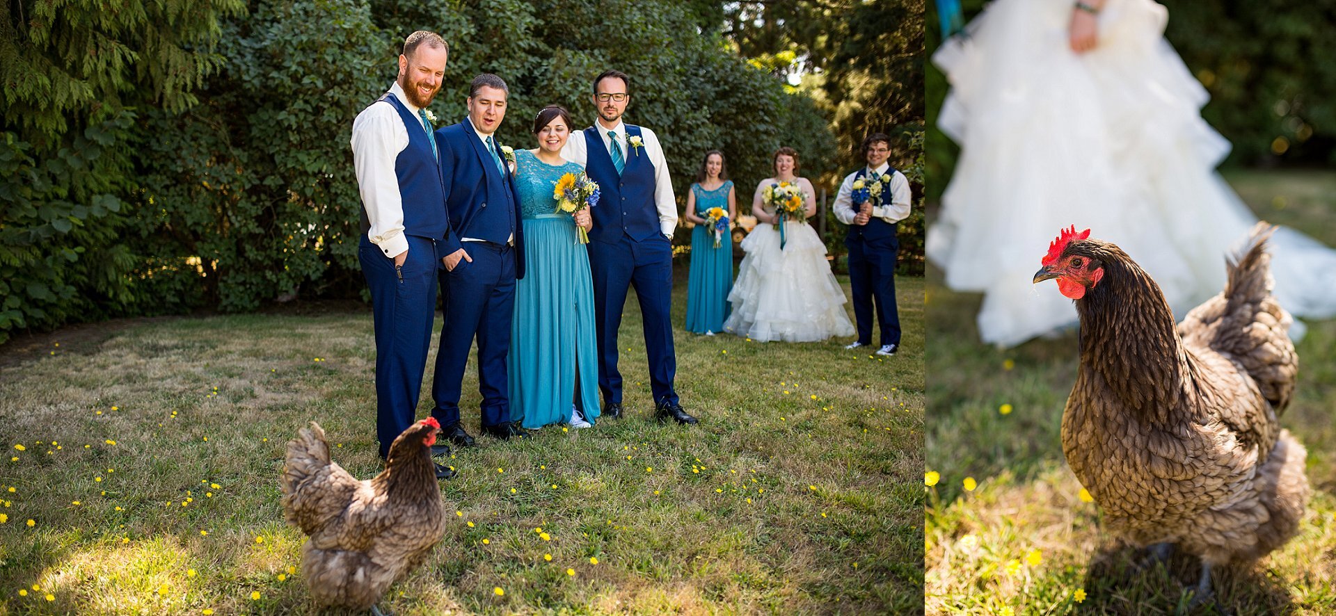 Rooster photo bombs Wedding Photos