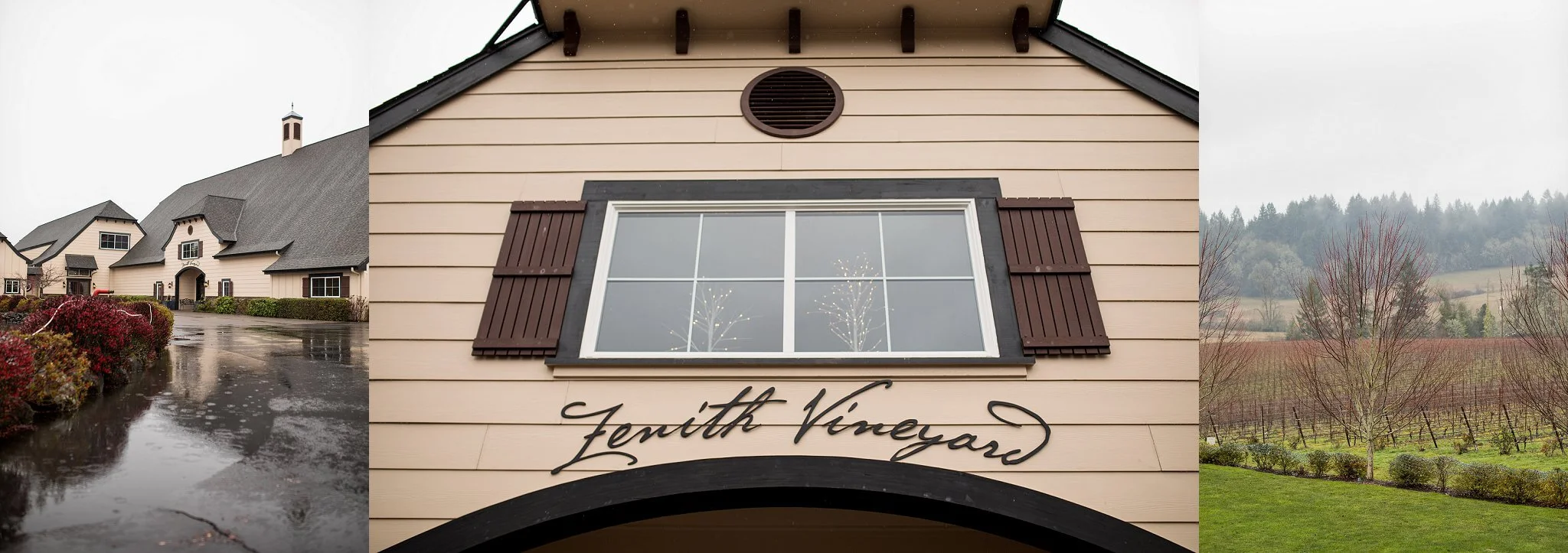 Zenith Vineyard Wedding Photos