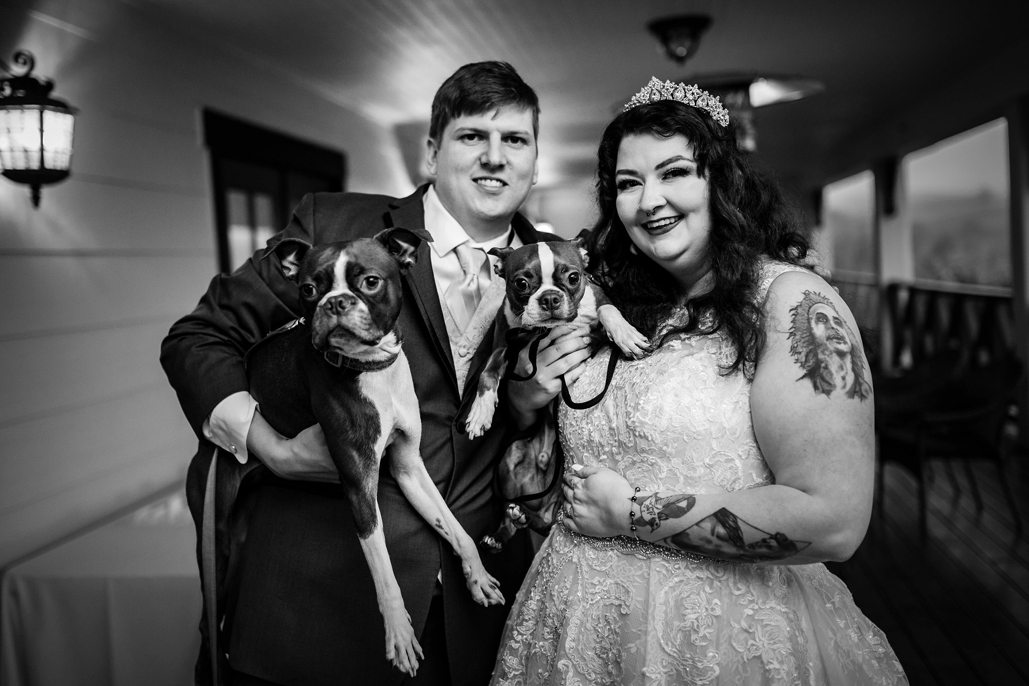 Puppy Ring Bearer Wedding Photos
