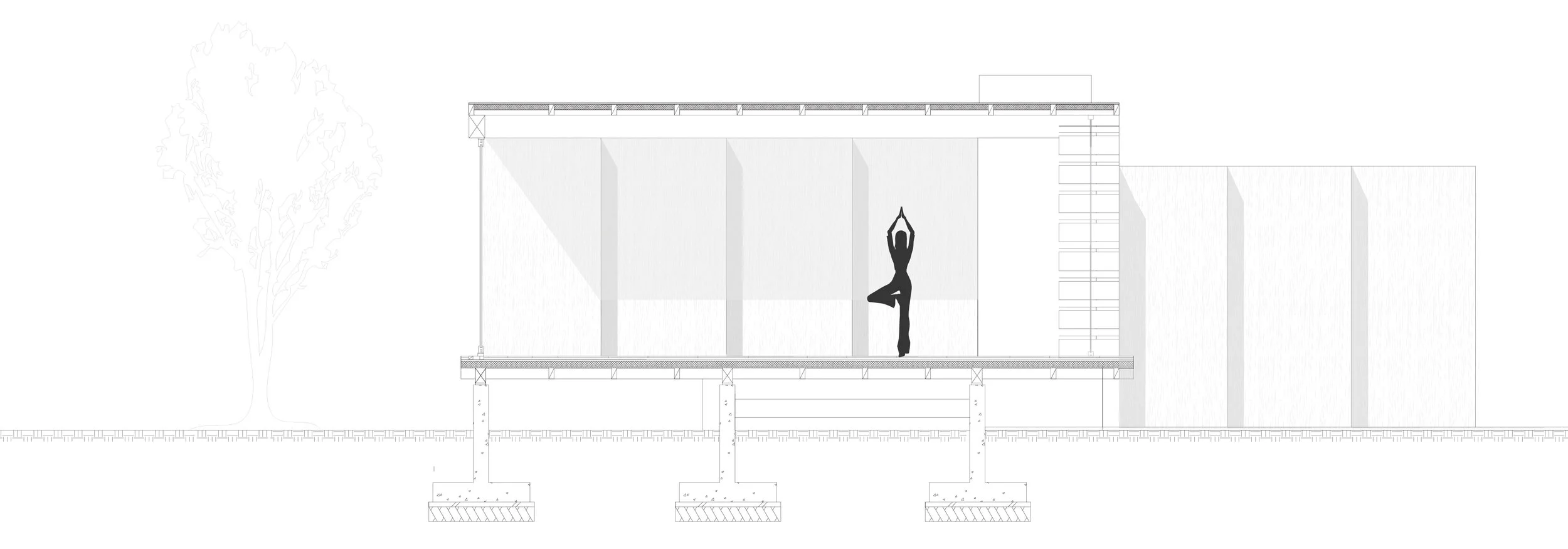   LONGITUDINAL SECTION  