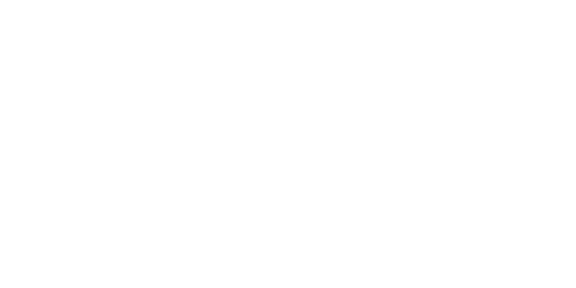 OVERLAY.png