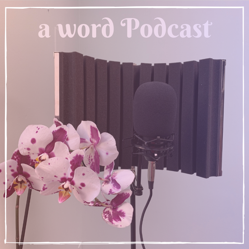 EPISODE 15//REMEMBERING THE DIVINE LIGHT AND LIFE OF BREONNA TAYLOR
