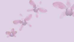 Flower Background.png