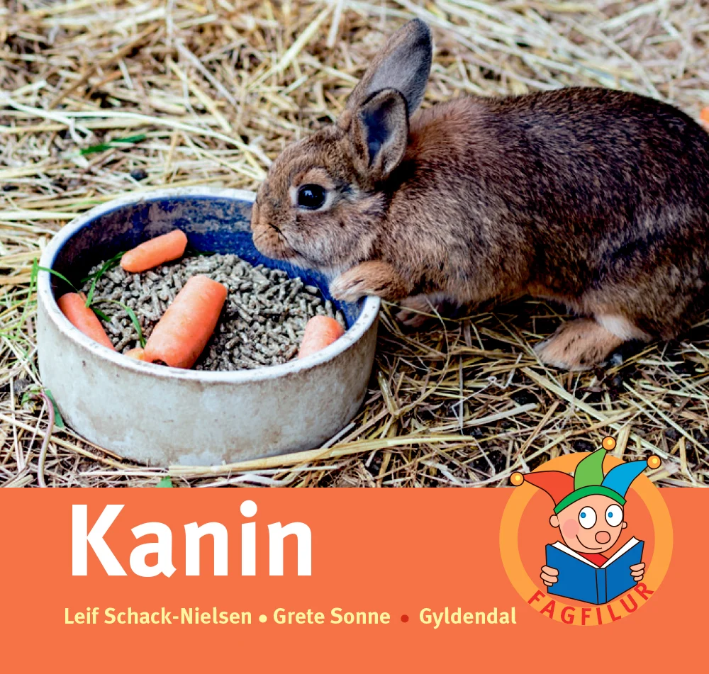 Kanin.jpg