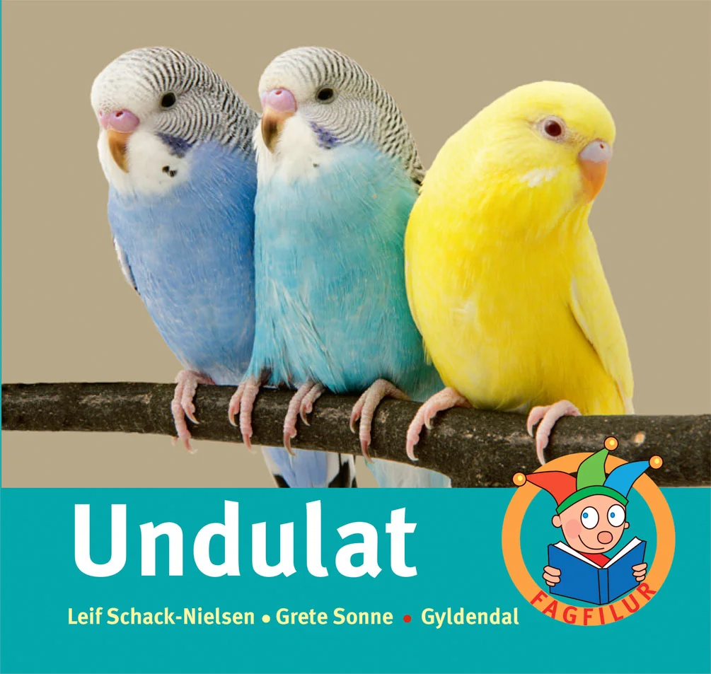 Undulat.jpg